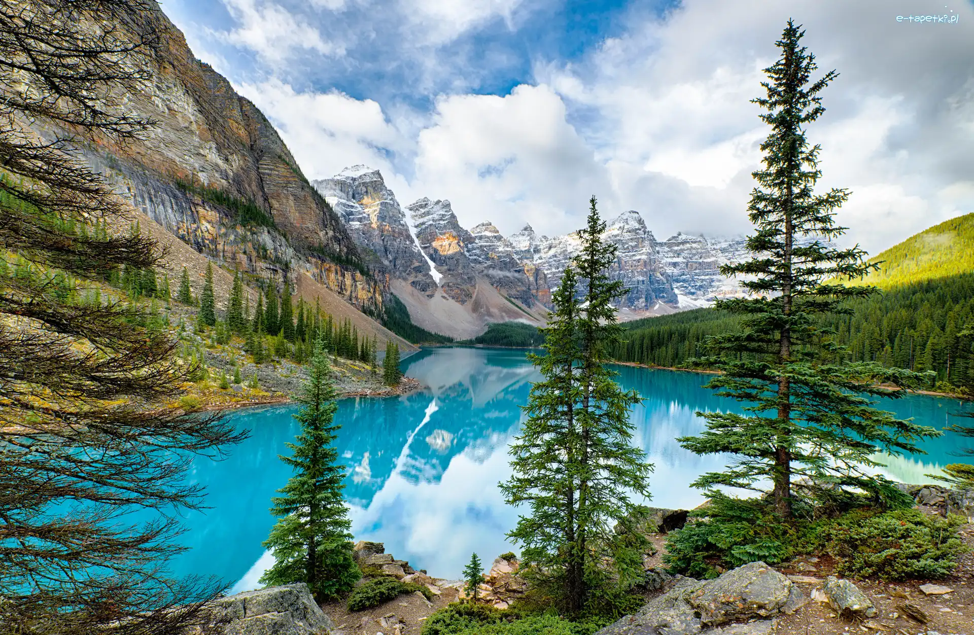 Góry, Park Narodowy Banff, Jezioro Moraine, Prowincja Alberta, Kanada, Drzewa, Las