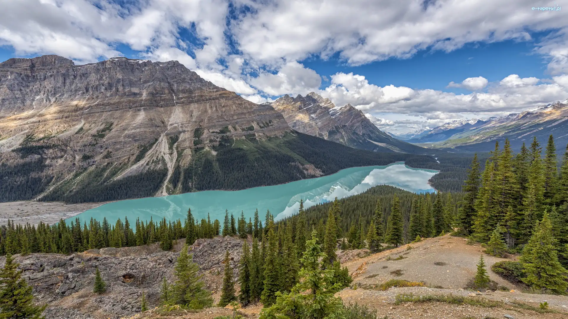 Kanada, Jezioro Peyto Lake, Lasy, Góry Canadian Rockies, Park Narodowy Banff, Alberta, Drzewa