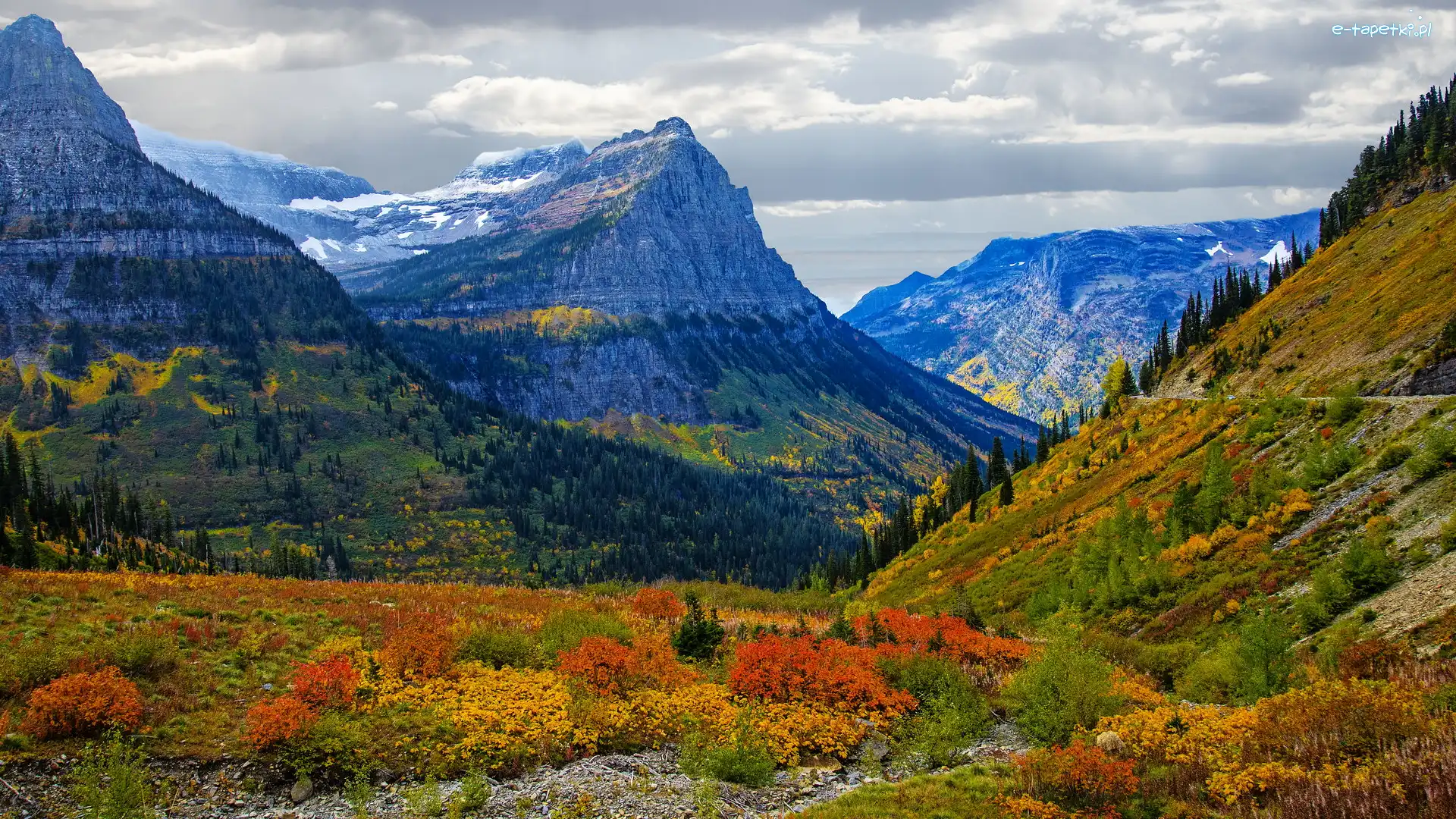 Stany Zjednoczone, Jesień, Kolorowe, Góry Skaliste, Park Narodowy Glacier, Montana, Rośliny