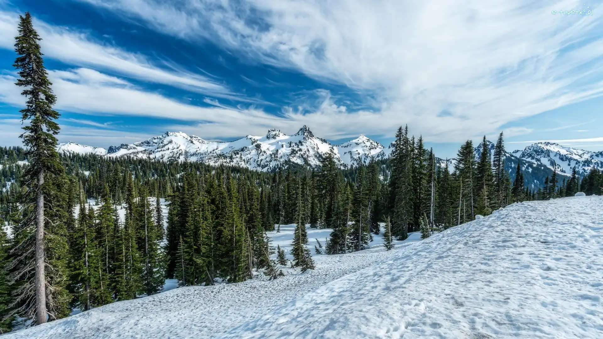 Park Narodowy Mount Rainier, Góry Kaskadowe, Stany Zjednoczone, Stan Waszyngton, Pasmo Tatoosh, Drzewa, Chmury, Zima