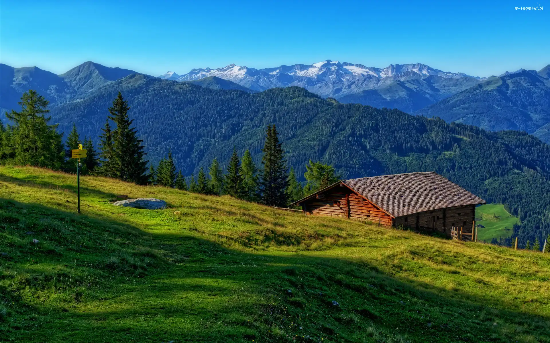 Lasy, Łąka, Dom, Góry