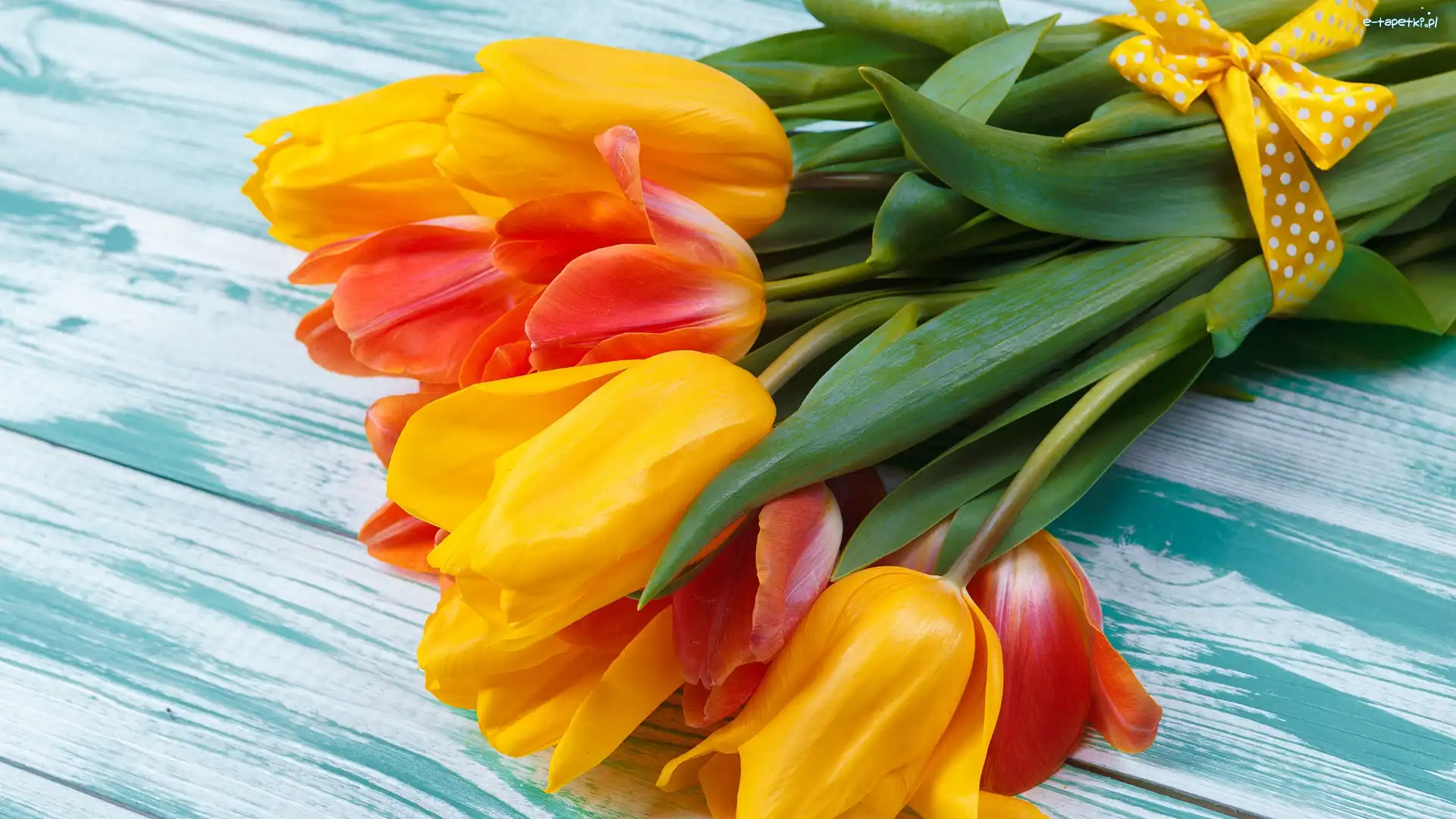 Pomarańczowe, Wstążka, Tulipany, Żółte