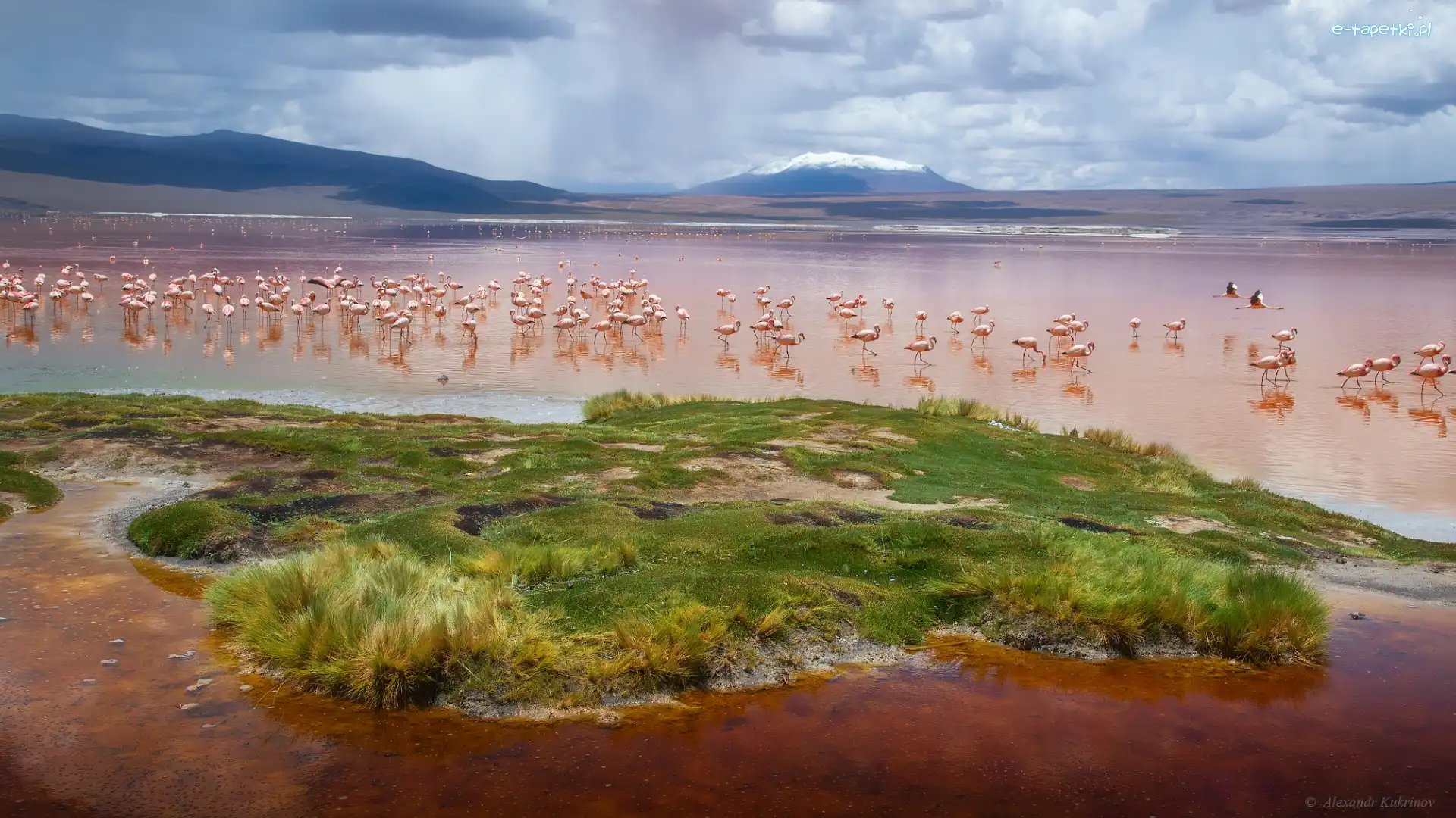 Boliwia, Ptaki, Flamingi, Laguna Colorada, Jezioro, Andy, Góry