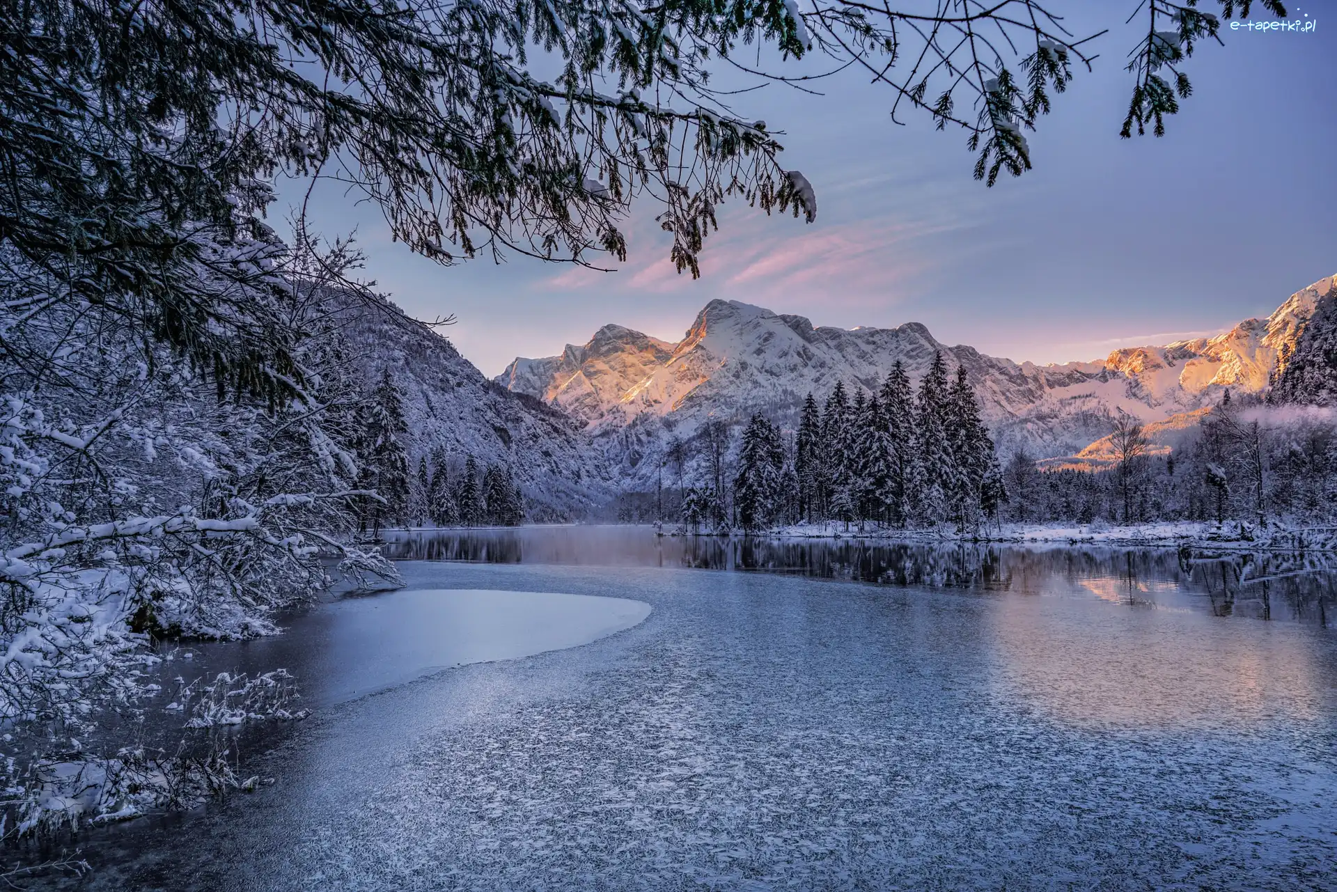 Totes Gebirge, Góry, Region Górna Austria, Ośnieżone, Las, Świerki, Alpy, Drzewa, Zima, Wschód słońca, Jezioro Almsee, Austria