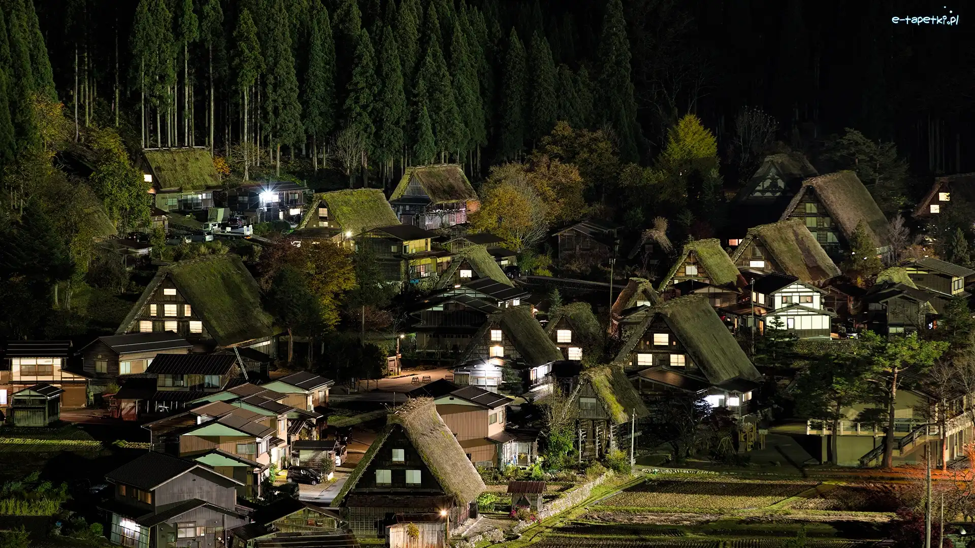 Domy, Japonia, Noc, Las, Prefektura Gifu, Wioska Shirakawa