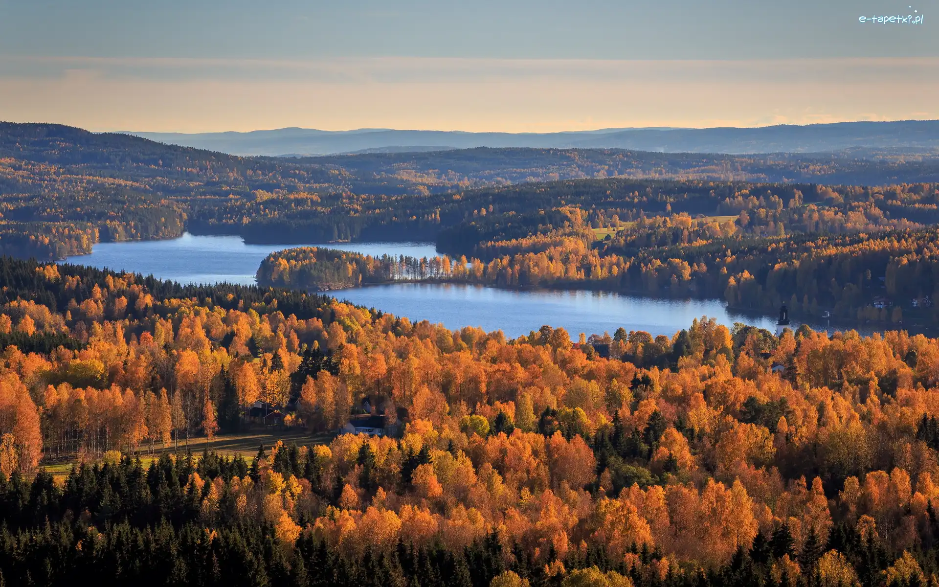 Jezioro, Lasy, Szwecja, Gmina Arvika, Drzewa, Lake Gunnern, Gunnarskog, Jesień