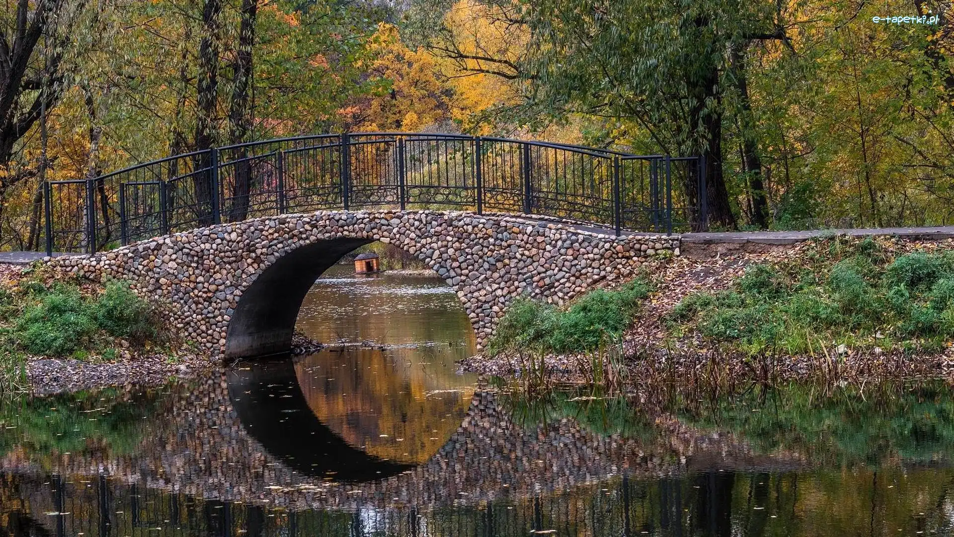 Staw, Mostek, Kamienny, Park, Drzewa