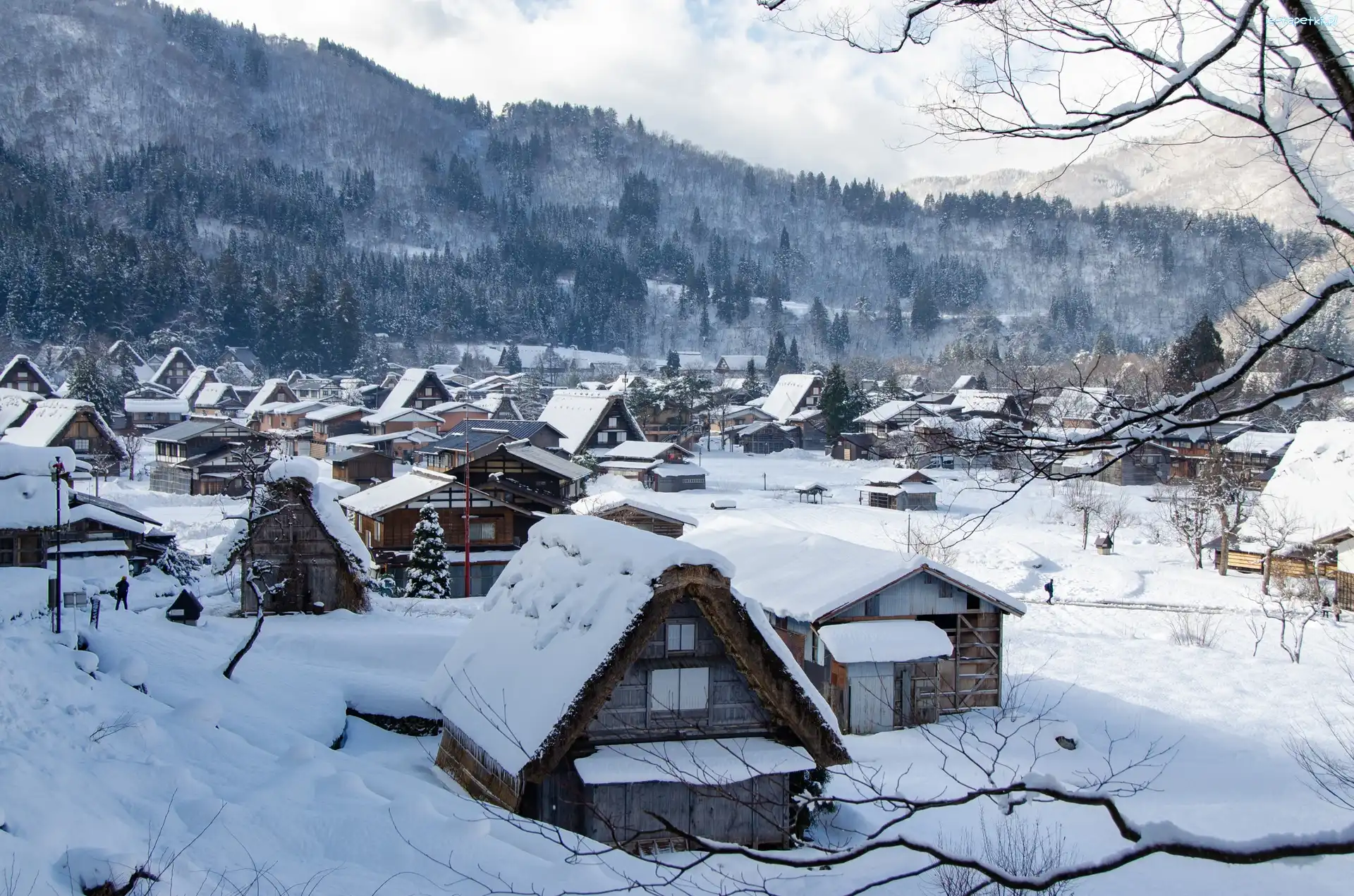 Góry, Drzewa, Domy, Drewniane, Zima, Japonia, Prefektura Gifu, Śnieg, Wieś Shirakawa