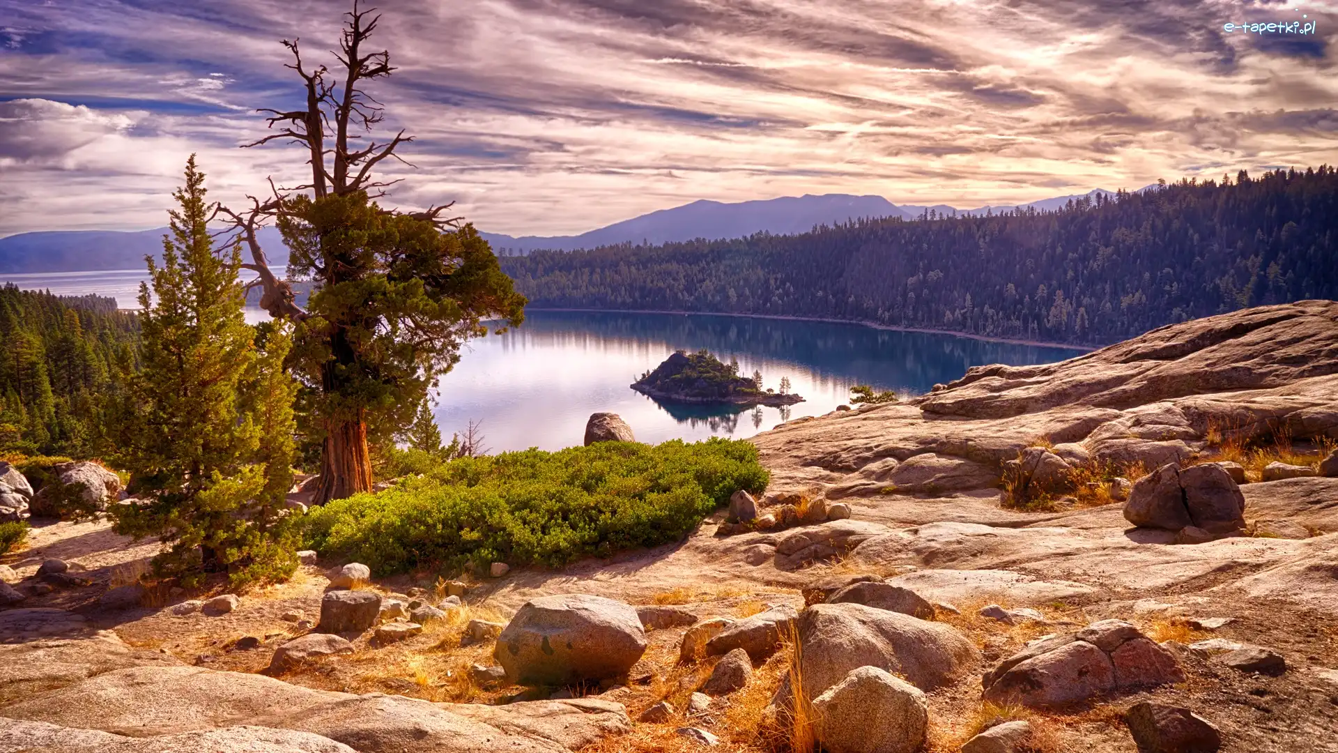 Lasy, Park Emerald Bay, Lake Tahoe, Jezioro, Góry, Stany Zjednoczone, Kalifornia, Wyspa Fannette, Drzewa