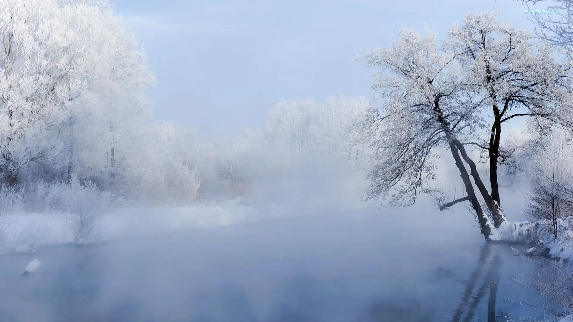Rzeka, Ośnieżone, Mgła, Zima, Drzewa