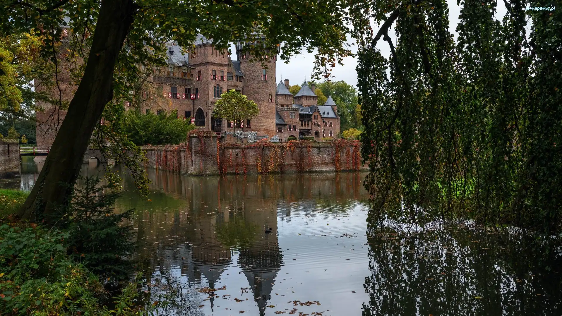 Holandia, Drzewa, Staw, Park, Zamek de Haar, Gmina Utrecht, Haarzuilens