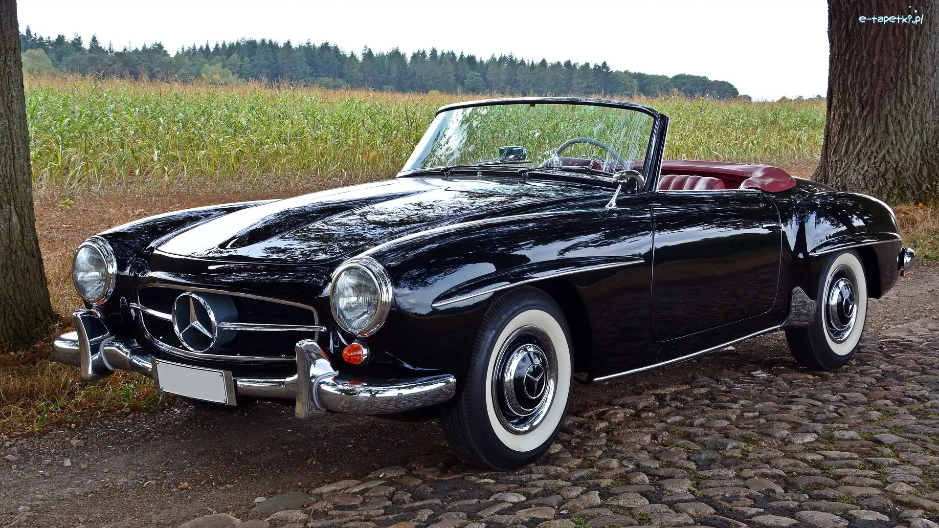 Mercedes-Benz 190 SL, Zabytkowy