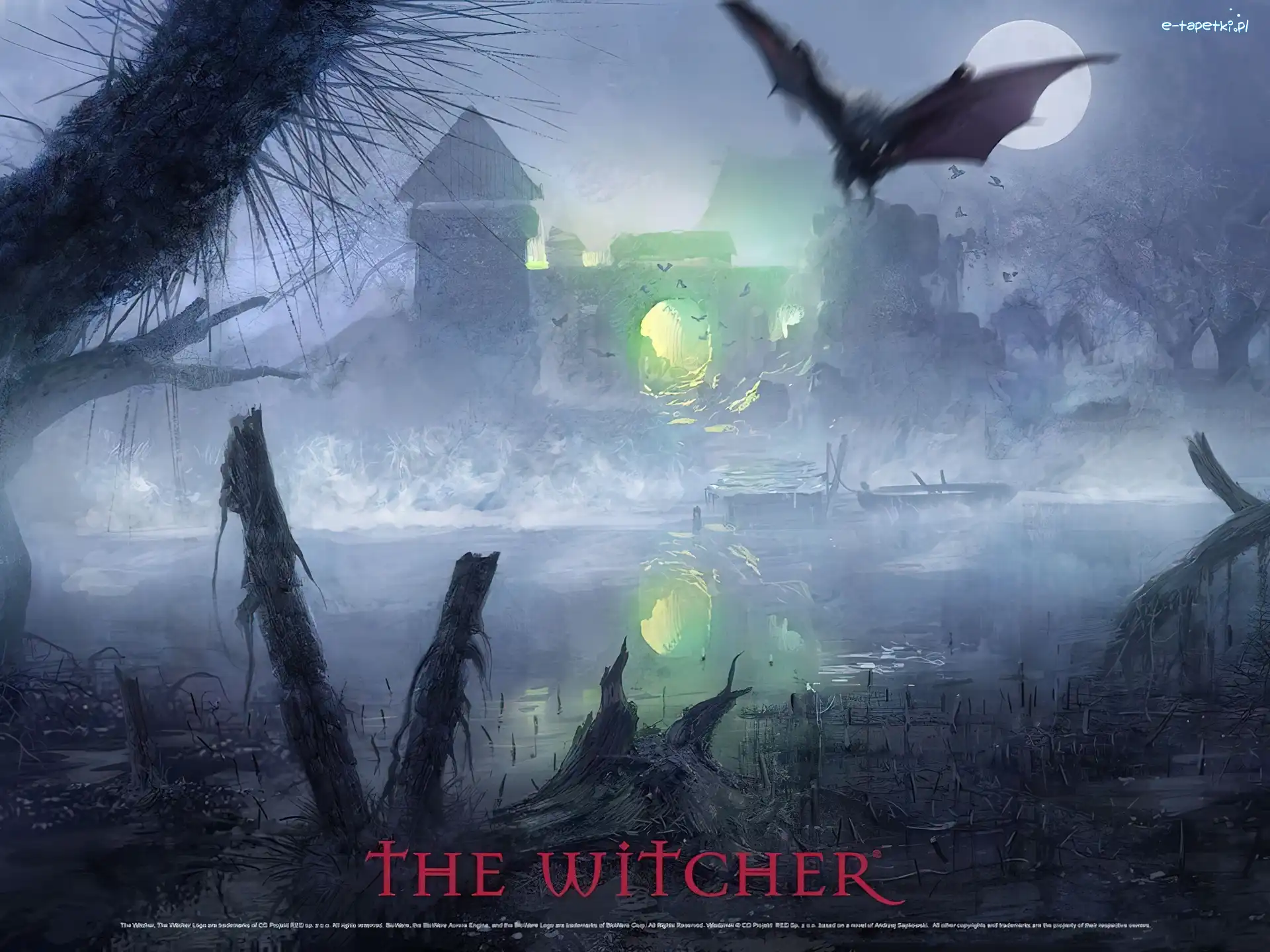 The Witcher, nietoperz, jezioro, światło, wioska