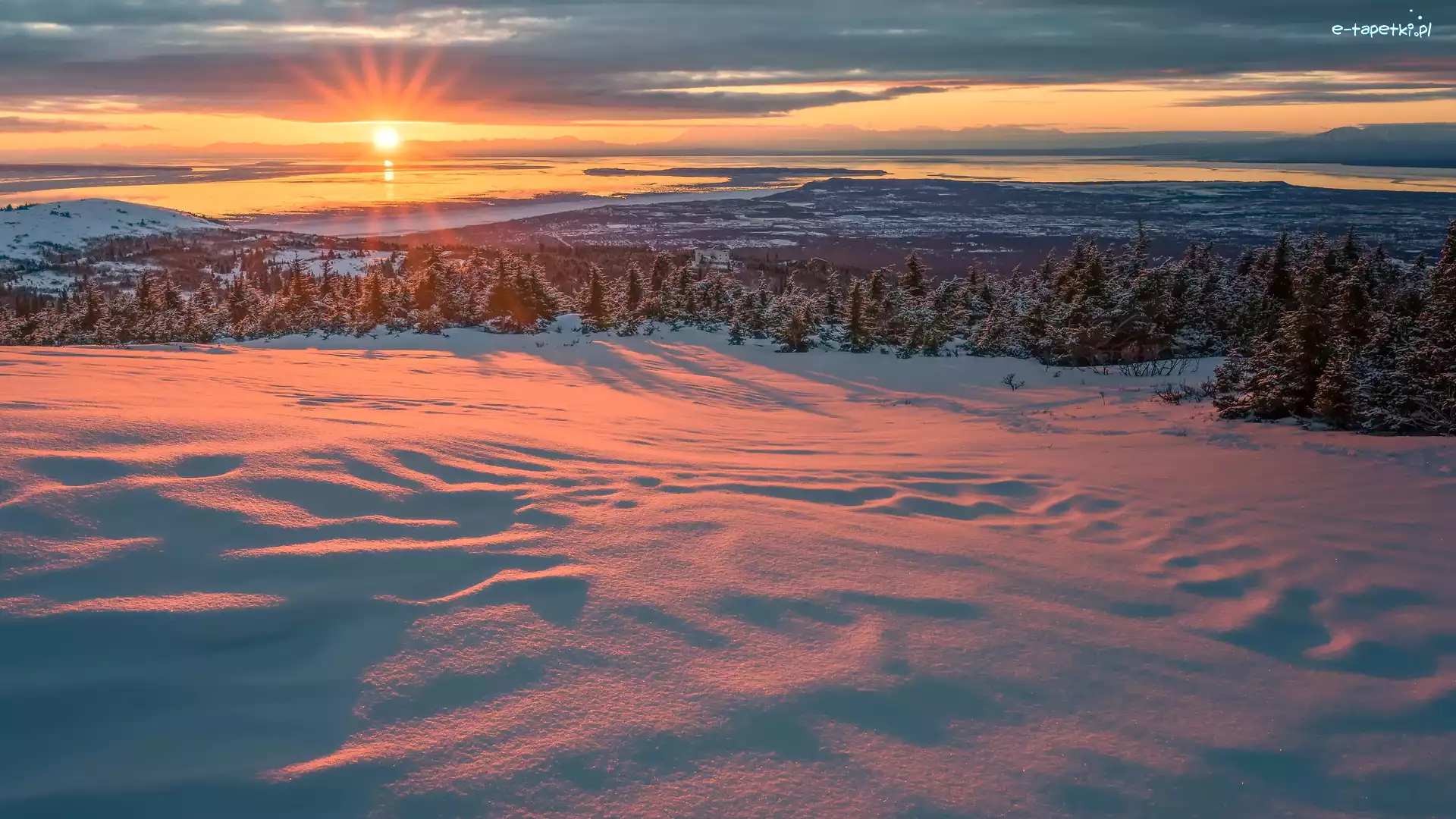 Świerki, Drzewa, Zatoka Cooka, Promienie słońca, Zima, Stany Zjednoczone, Alaska, Ośnieżone, Anchorage