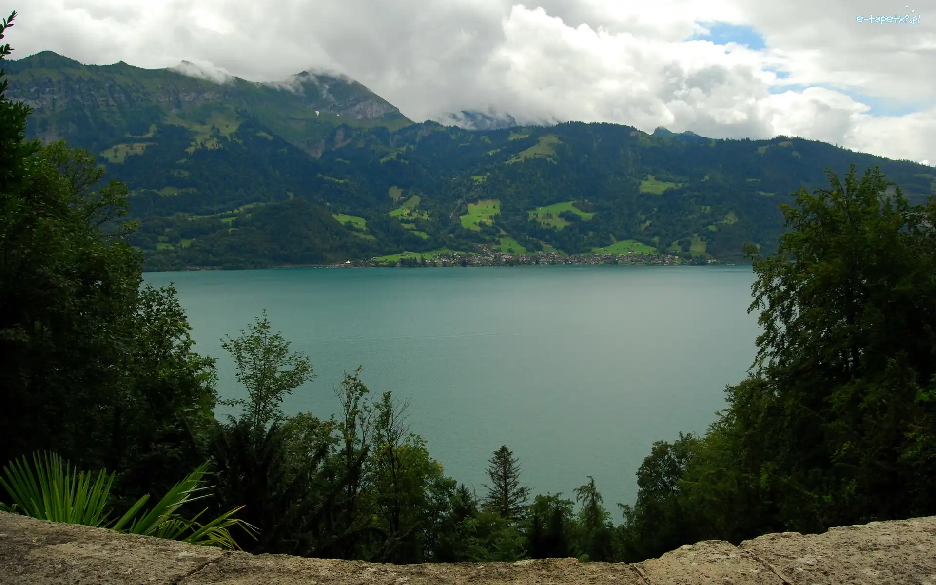 Kanton Berno, Jezioro Thunersee, Drzewa, Szwajcaria, Alpy Berneńskie, Góry