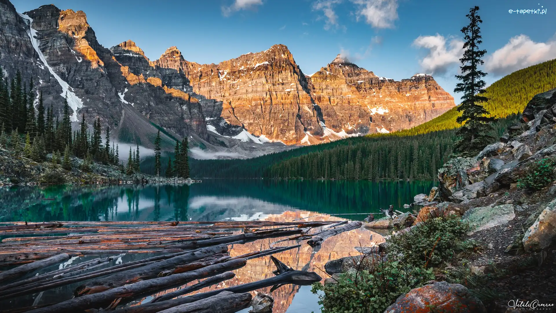 Drzewa, Las, Kłody, Moraine Lake, Jezioro, Kanada, Alberta, Góry, Park Narodowy Banff