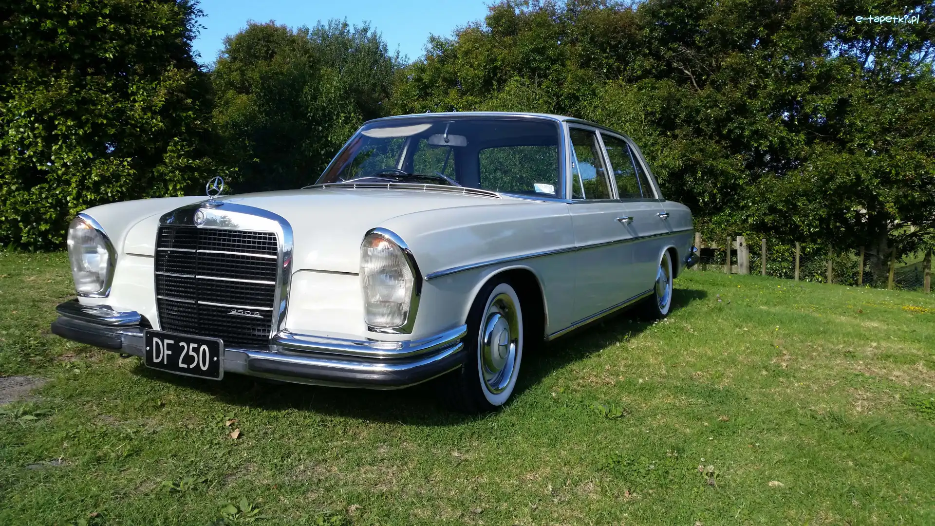 1967, Mercedes-Benz W108 250S, Zabytkowy