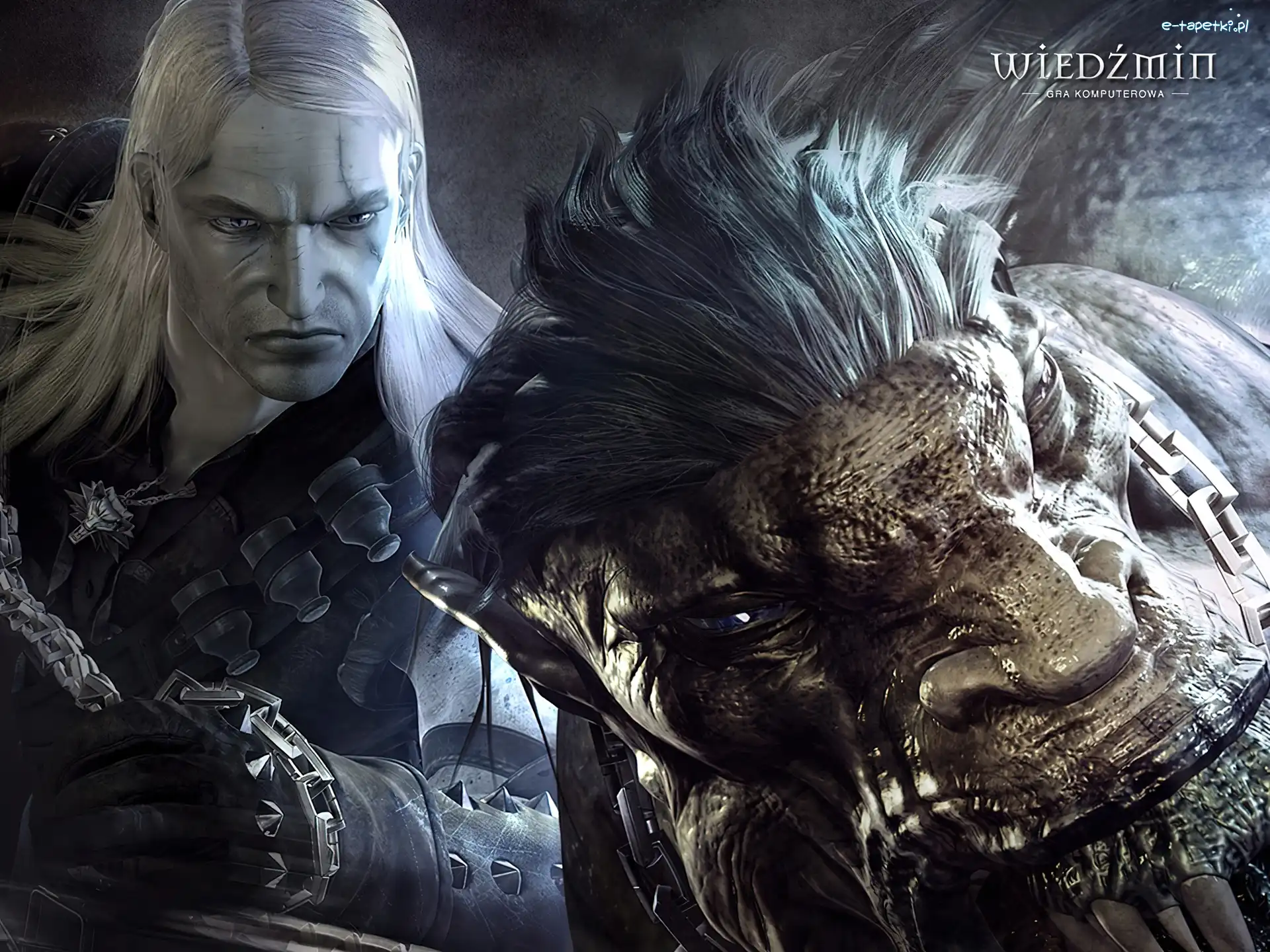 potwór, mężczyzna, The Witcher