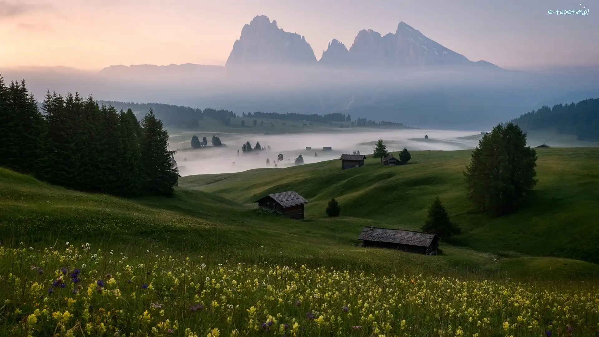 Płaskowyż Seiser Alm, Domki, Dolomity, Góry Sassolungo, Mgła, Włochy, Łąki, Drewniane, Dolina Val Gardena