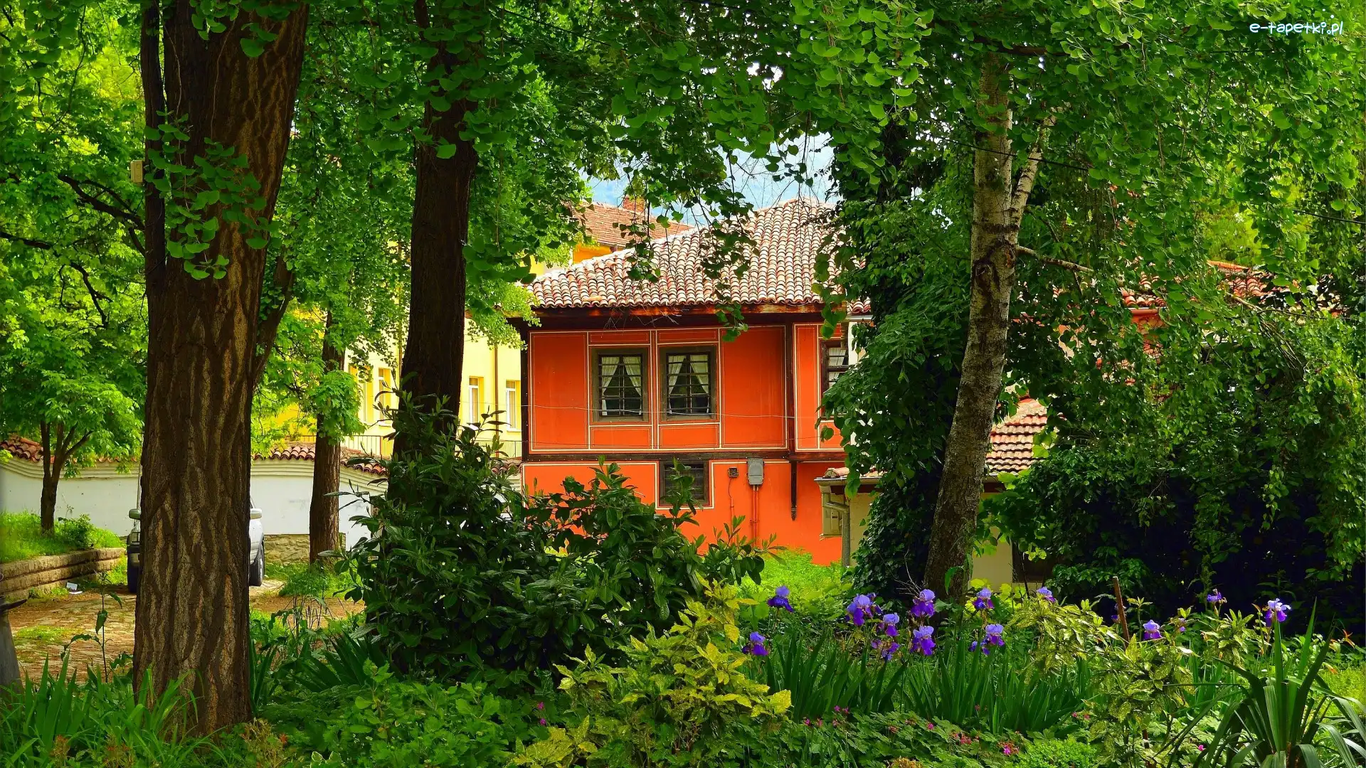 Pomarańczowy, Drzewa, Dom, Irysy, Kwiaty