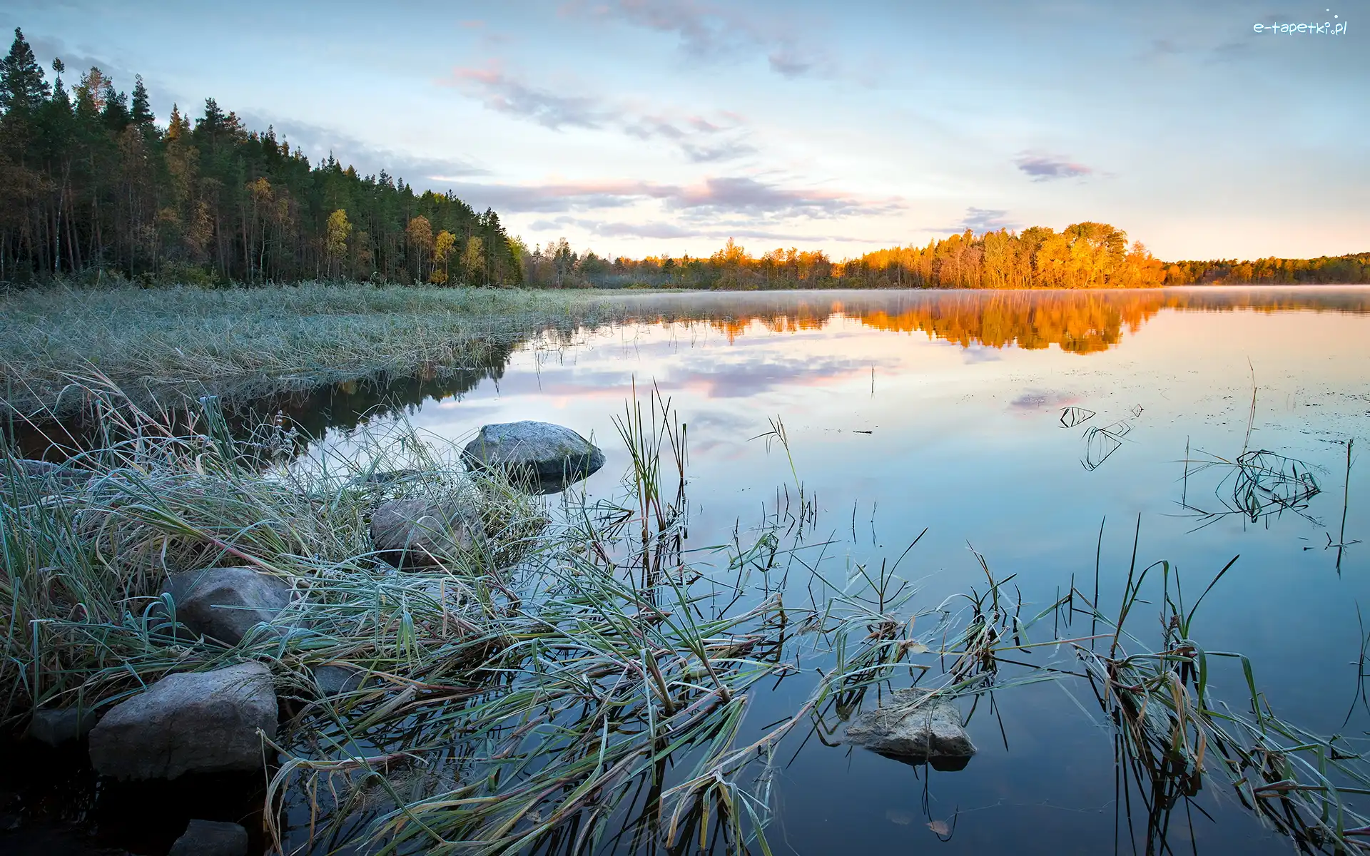 Rosja, Trawa, Kamienie, Drzewa, Jezioro Ładoga, Karelia, Brzeg