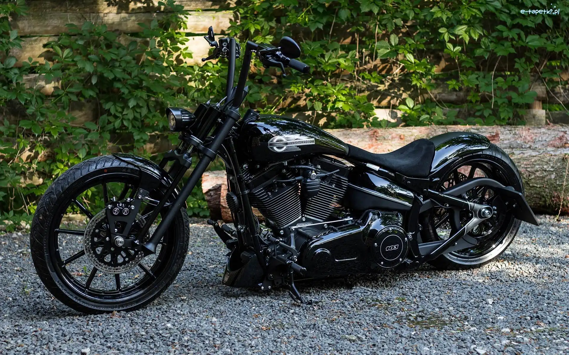 Harley Davidson, Motocykl, Czarny