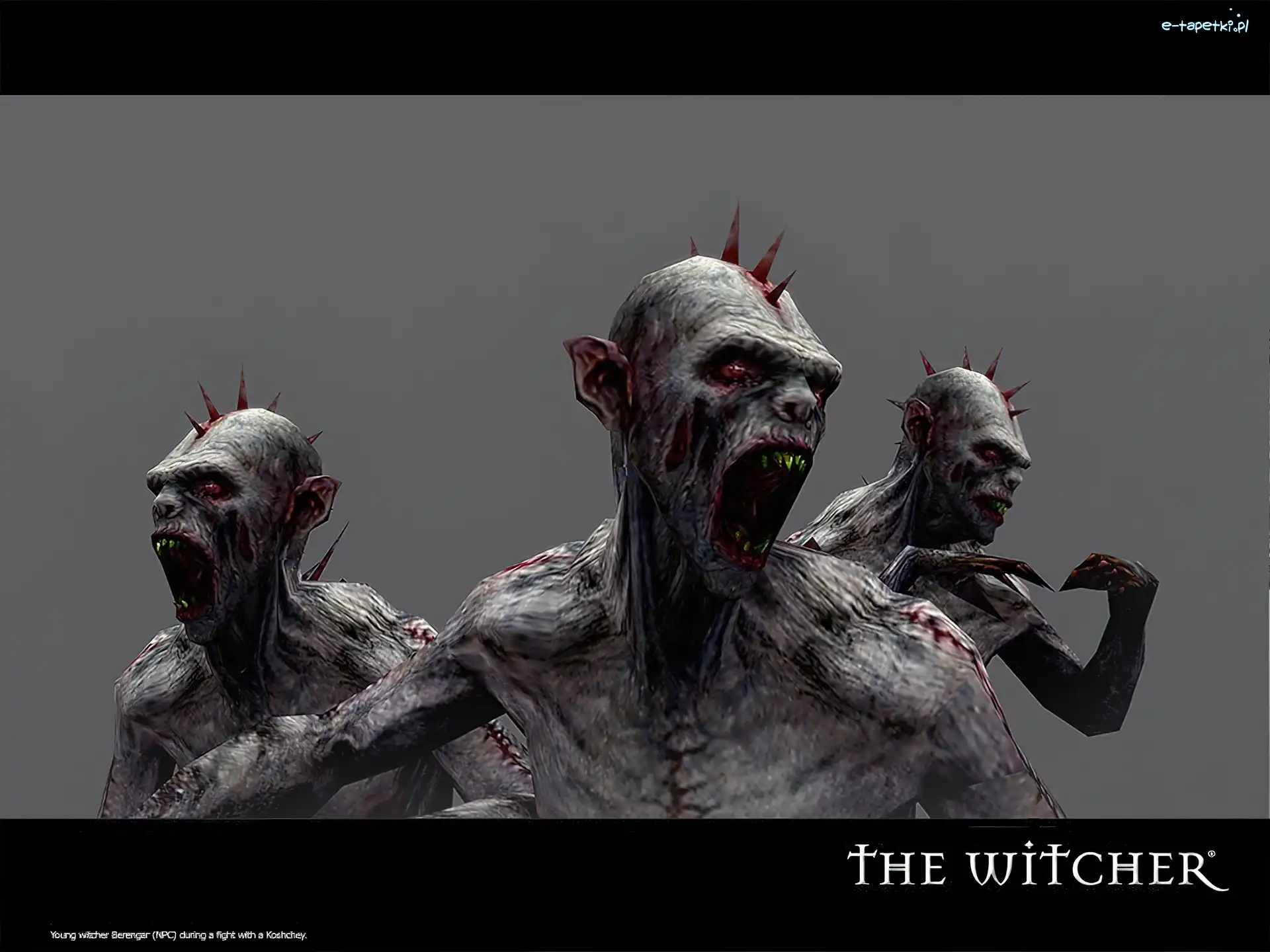 kolce, The Witcher, kły, potwór