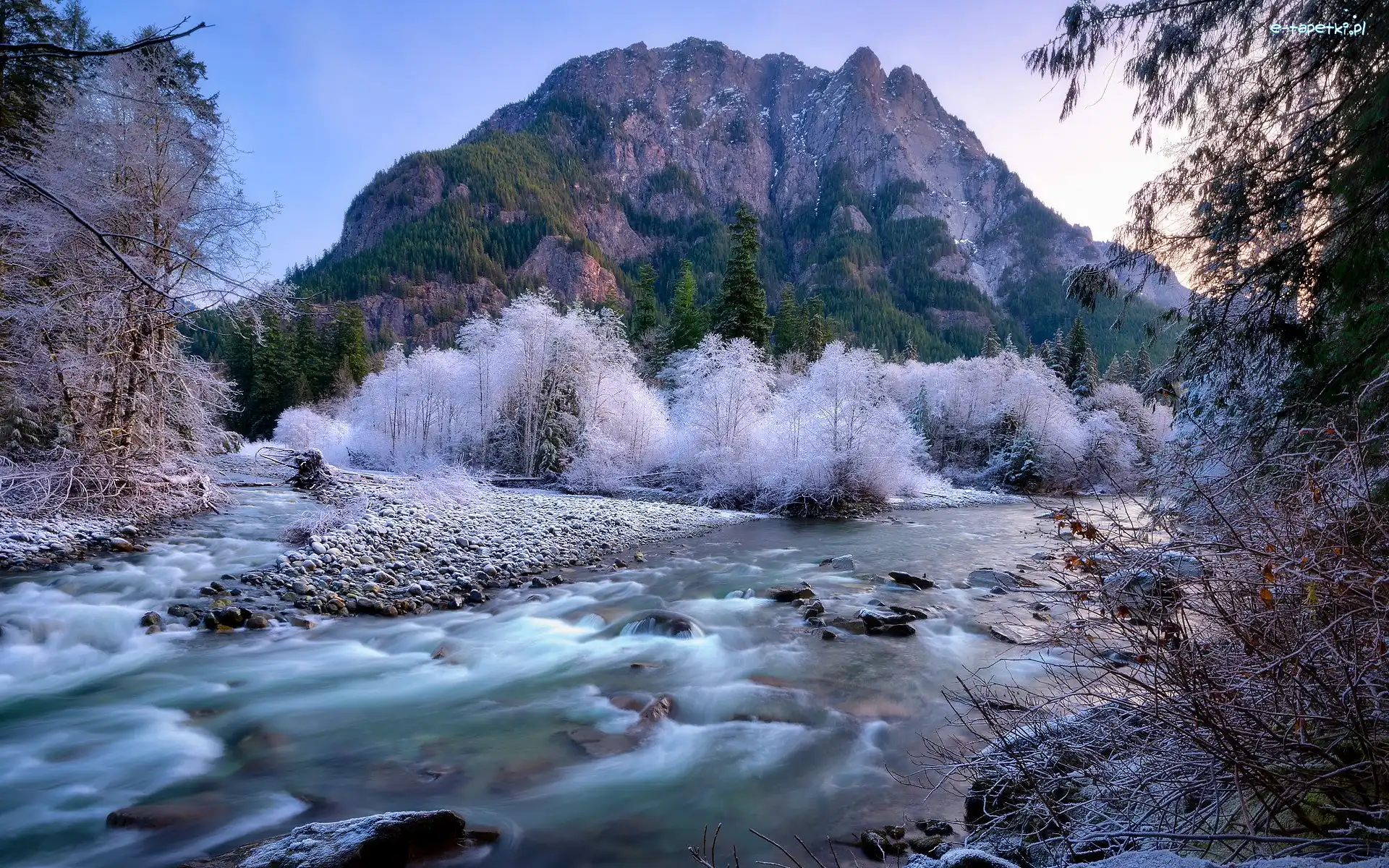 Kamienie, Drzewa, Góra, Snoqualmie River, Rzeka, Stany Zjednoczone, Stan Waszyngton, Oszronione, Middle Fork