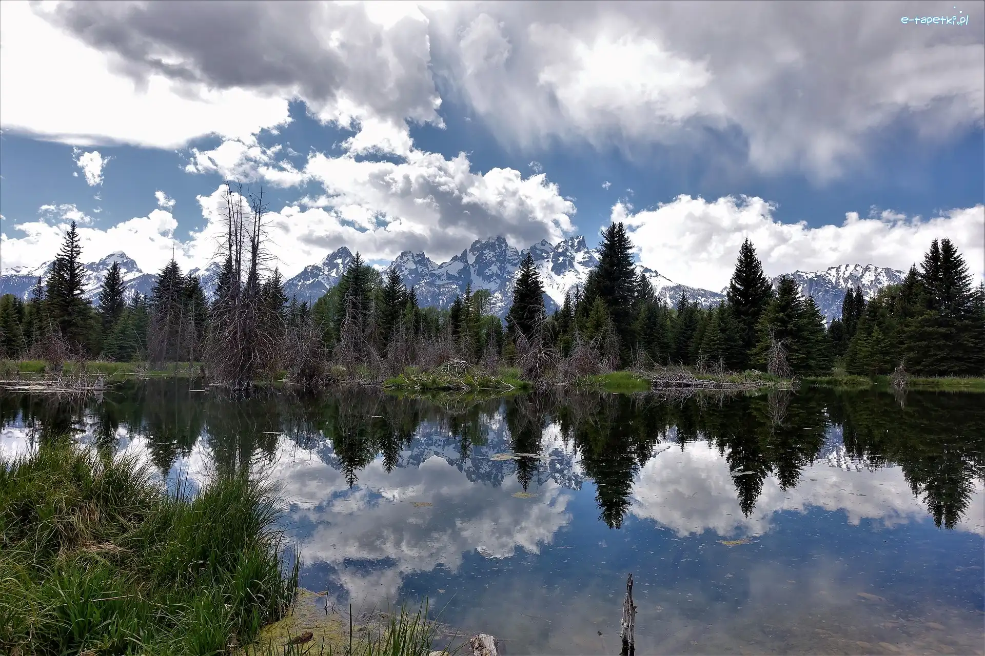 Chmury, Drzewa, Rzeka Snake River, Góry Teton Range, Park Narodowy Grand Teton, Stany Zjednoczone, Stan Wyoming, Las, Odbicie