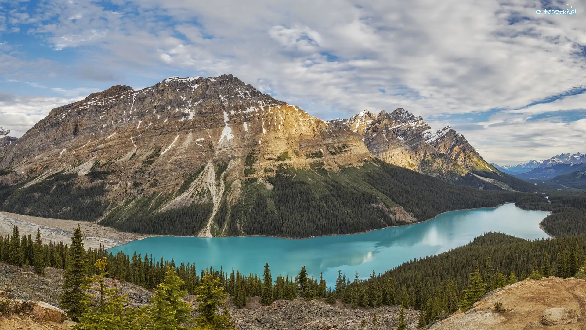Lasy, Peyto Lake, Canadian Rockies, Góry, Park Narodowy Banff, Kanada, Alberta, Jezioro, Drzewa