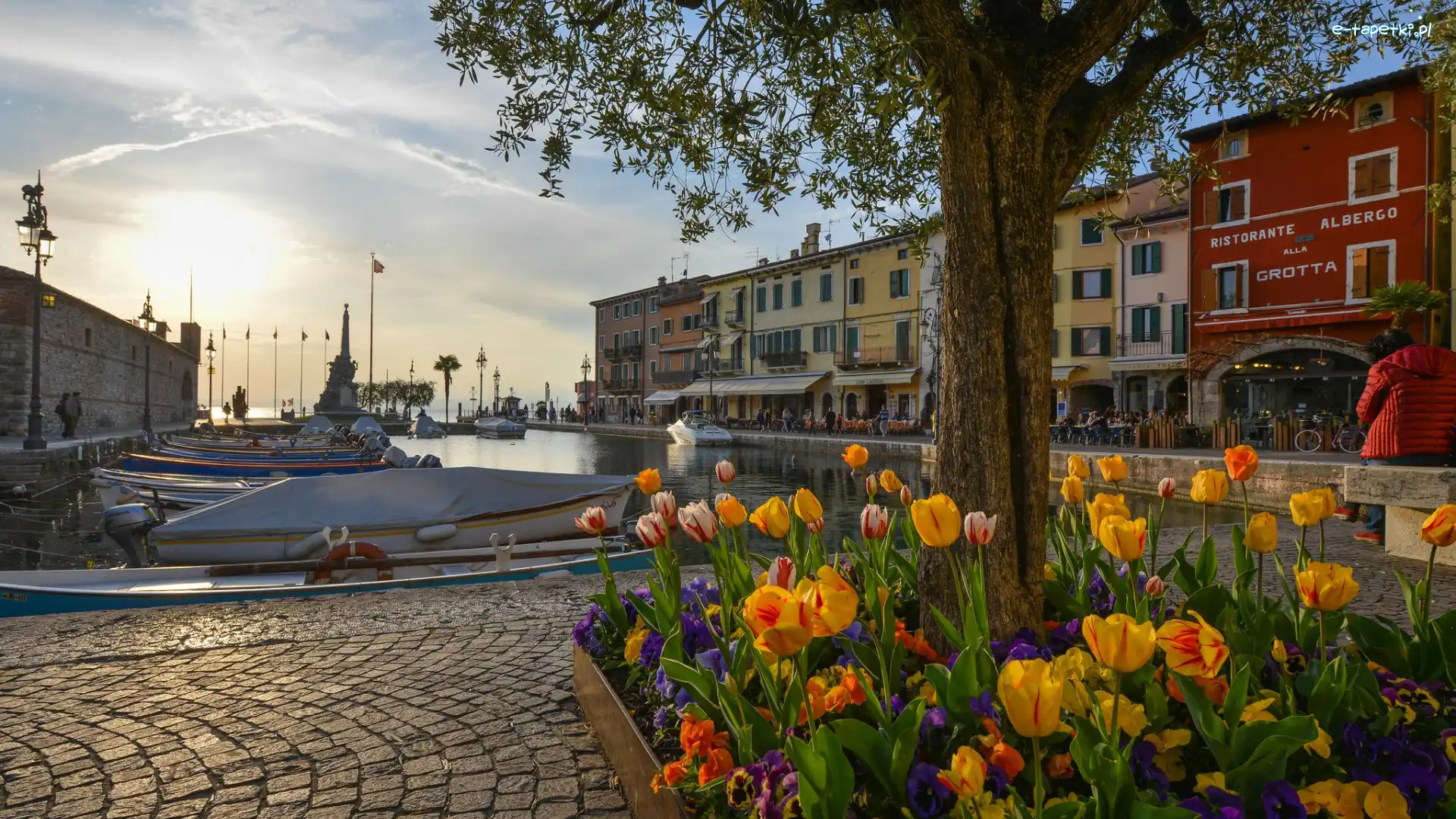 Domy, Tulipany, Włochy, Portofino, Drzewo, Zatoka, Łodzie, Kwiaty