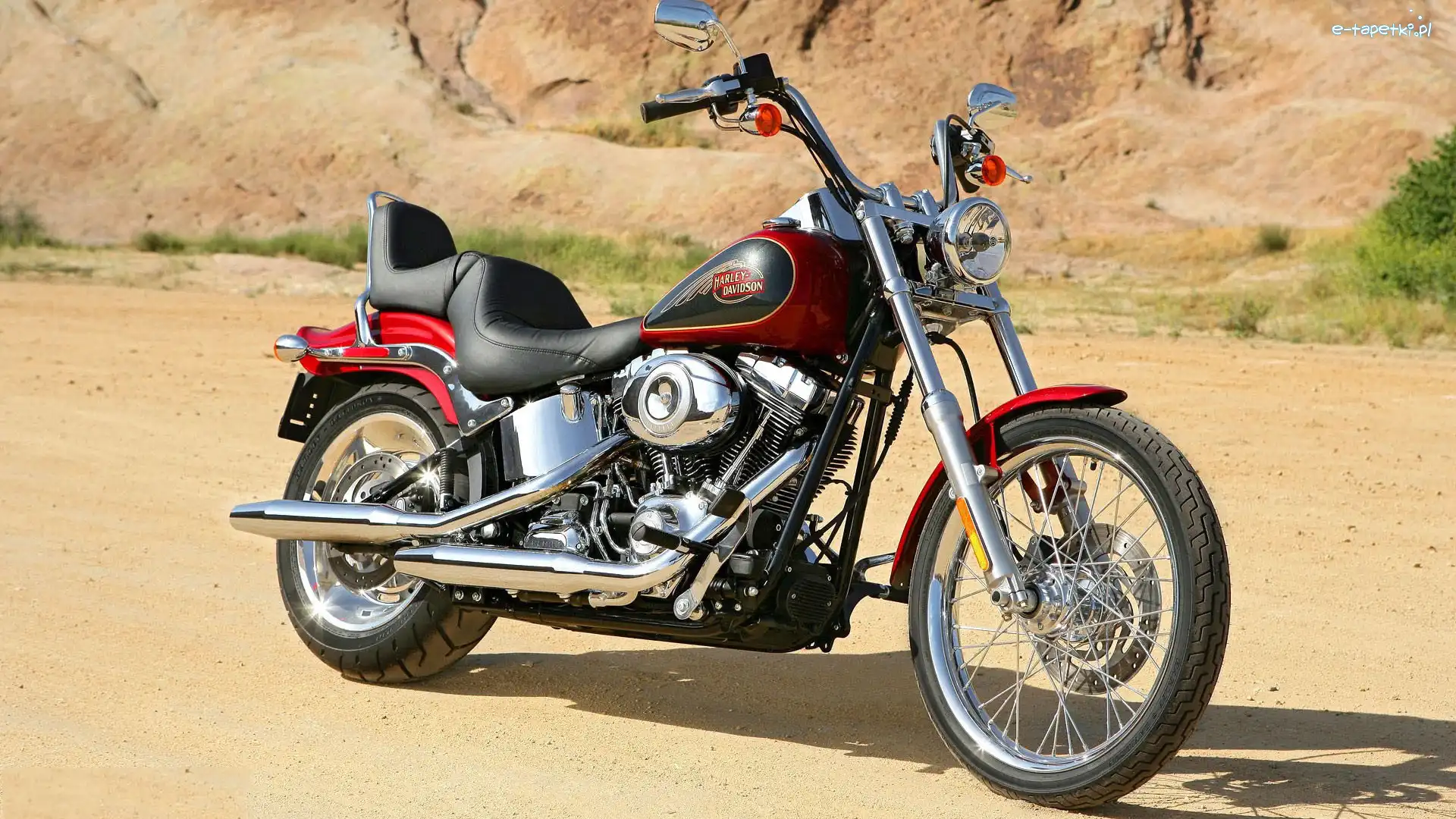 Harley-Davidson Softail Custom, Motocykl