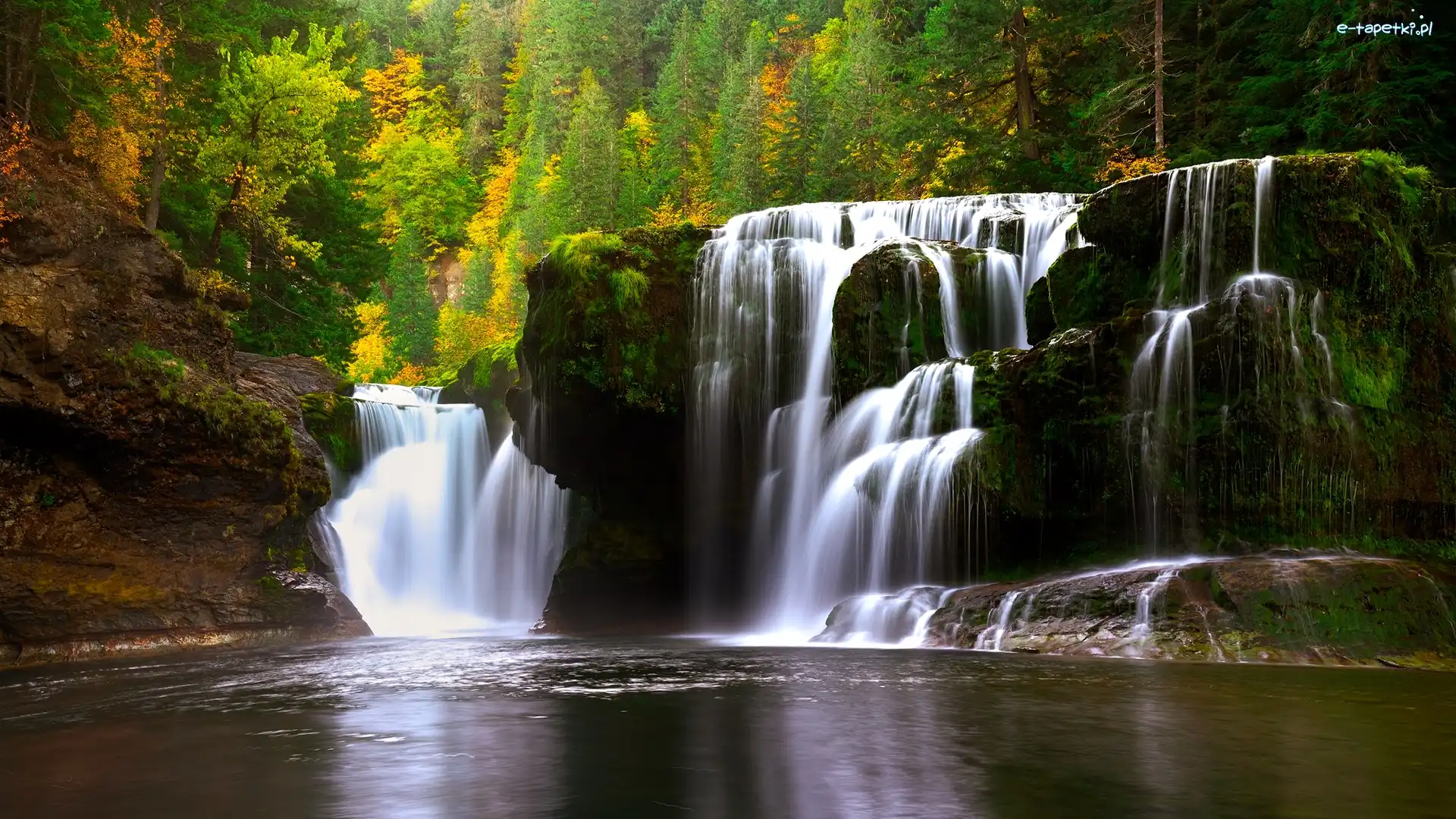 Stan Waszyngton, Las, Cougar, Stany Zjednoczone, Lower Lewis River Falls, Wodospad