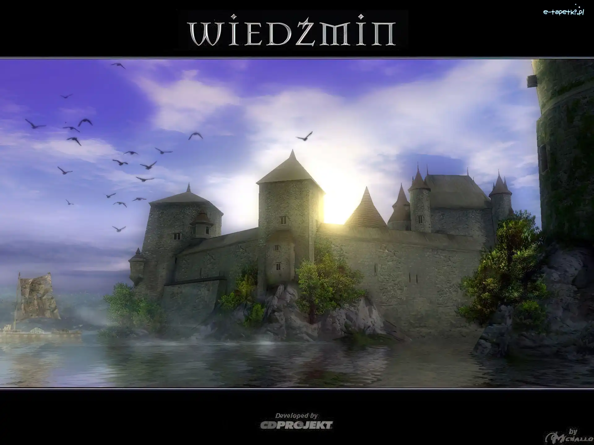 twierdza, ptaki, morze, The Witcher, statek