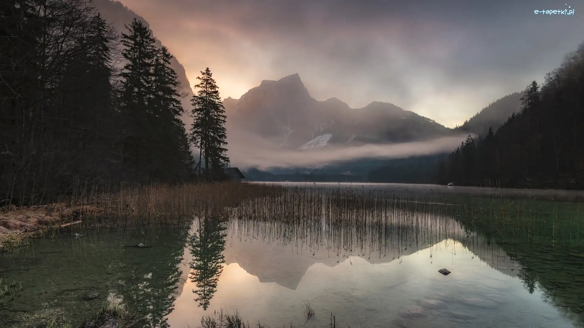 Mgła, Leopoldsteinersee, Drzewa, Austria, Jezioro, Góry