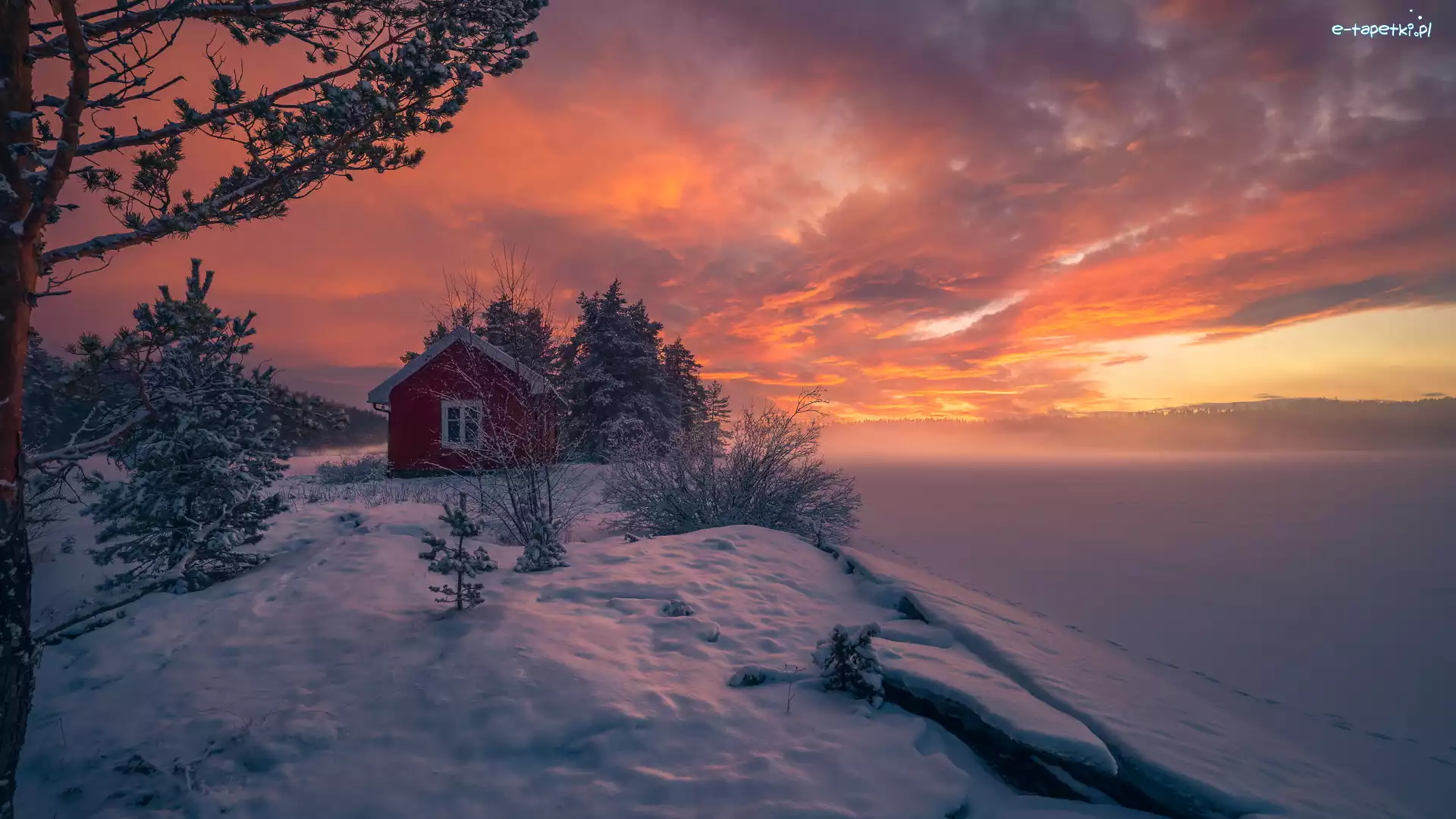 Ringerike, Domek, Drzewa, Norwegia, Czerwony, Zima