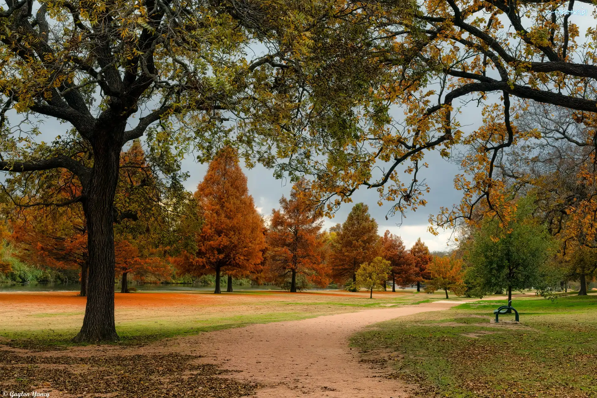 Jesień, Park, Drzewa, Ławka, Ścieżka