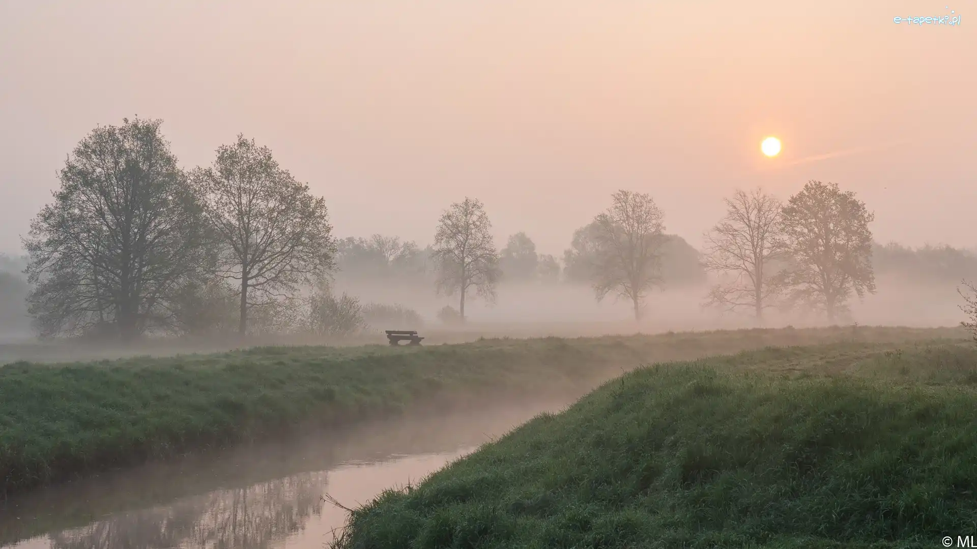 Rzeka, Mgła, Wschód słońca, Ławka, Drzewa