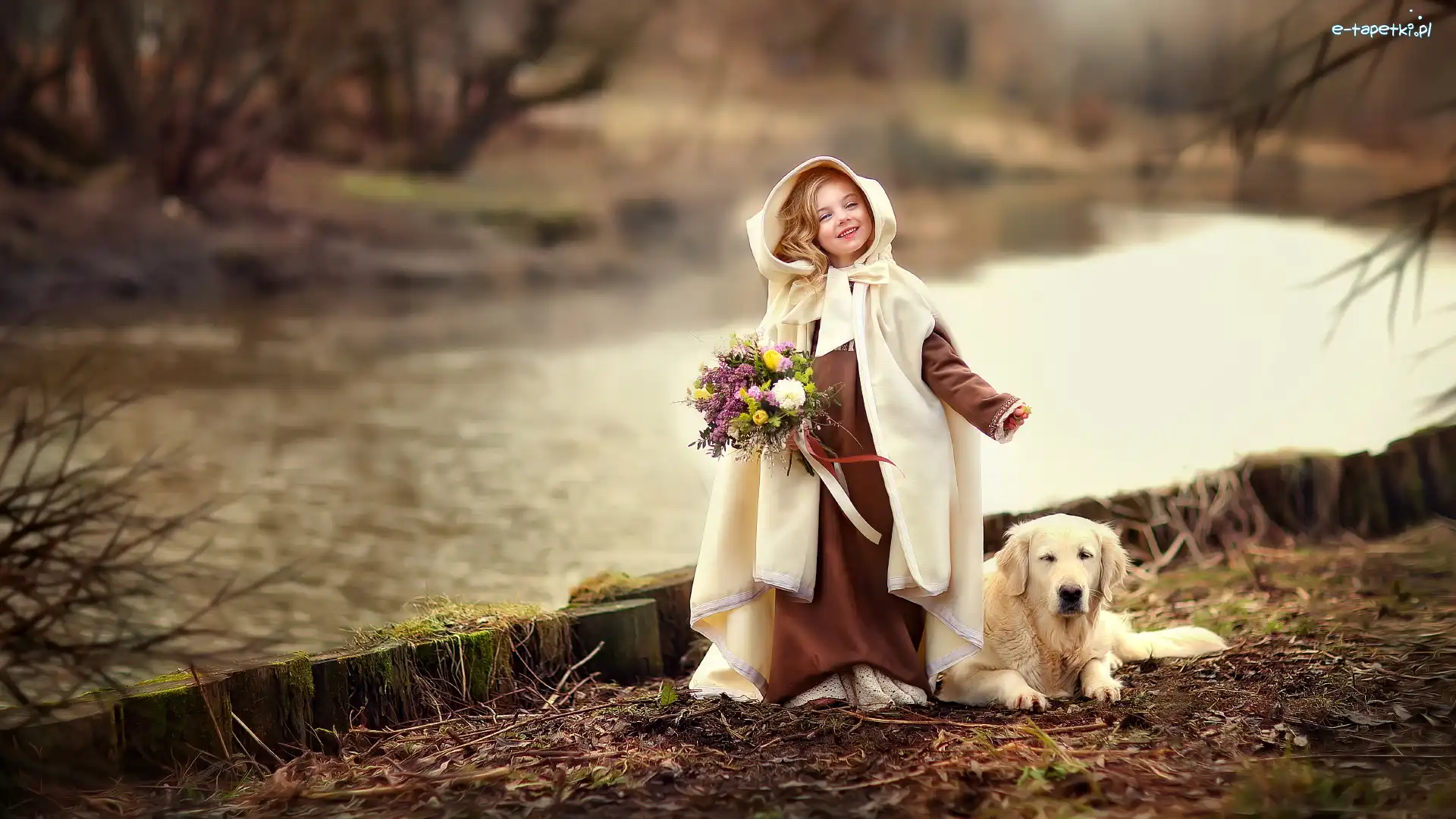 Pies, Bukiet, Kwiaty, Golden retriever, Peleryna, Dziewczynka