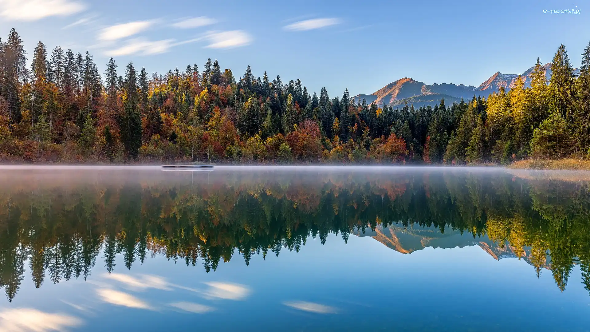 Las, Lake Cresta, Szwajcaria, Kanton Gryzonia, Góry, Drzewa, Jesień, Jezioro