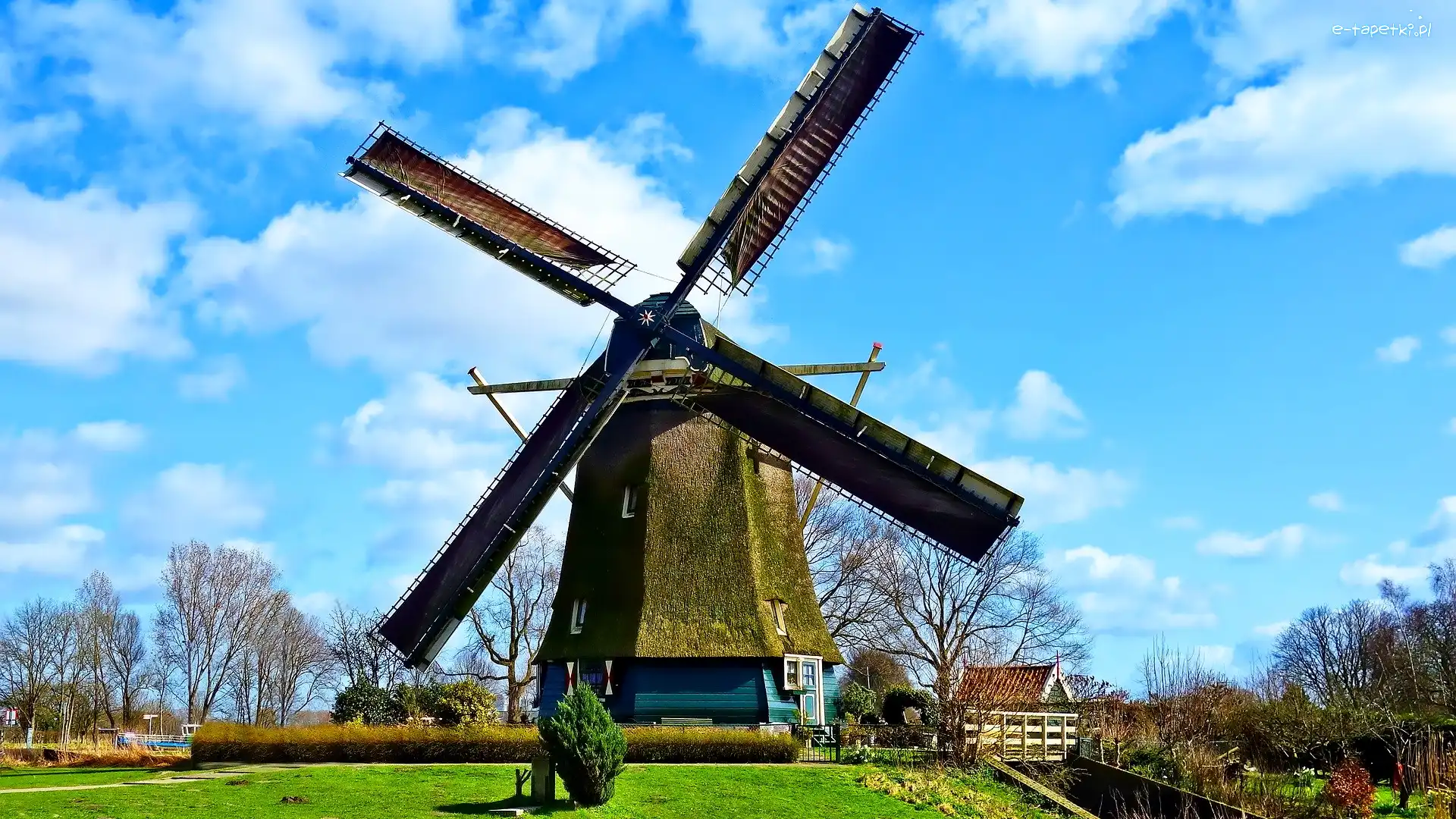 Wieś Kinderdijk, Płot, Dom, Holandia, Drzewa, Wiatrak