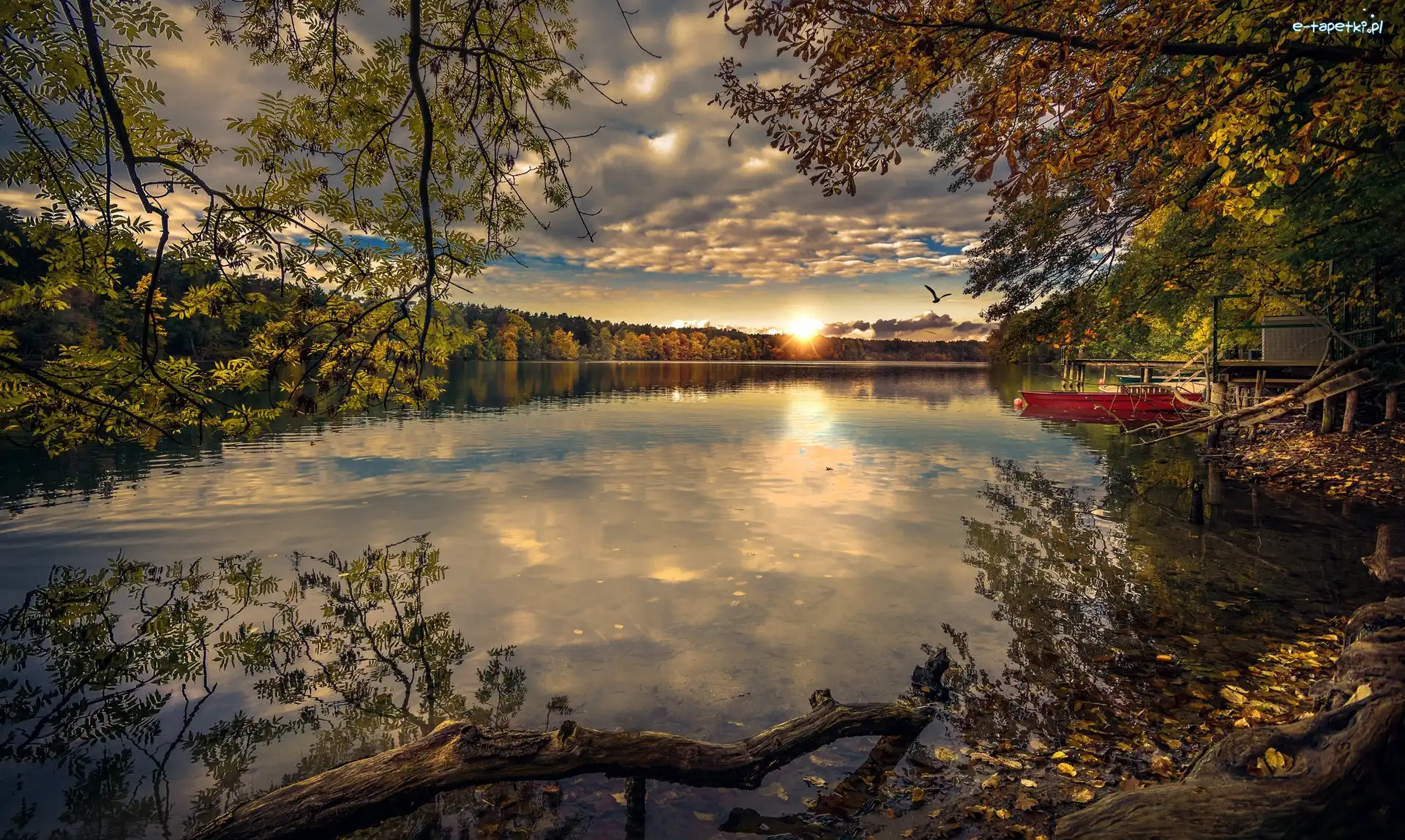 Jezioro, Jesień, Drzewa, Łódka, Zachód słońca