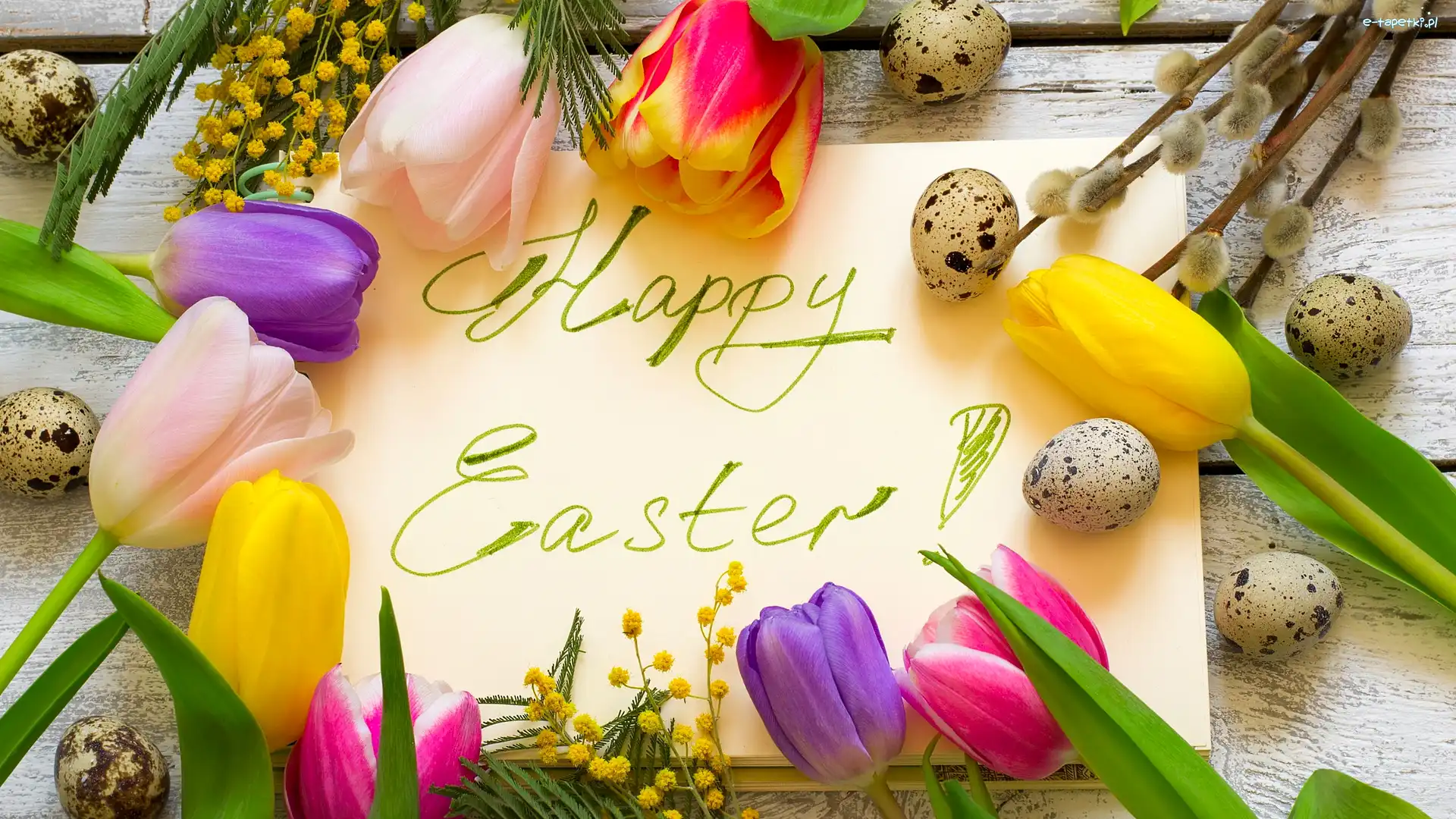 Tulipany, Kartka, Deski, Bazie, Napis, Happy Easter, Jajka, Wielkanoc, Życzenia, Akacja srebrzysta