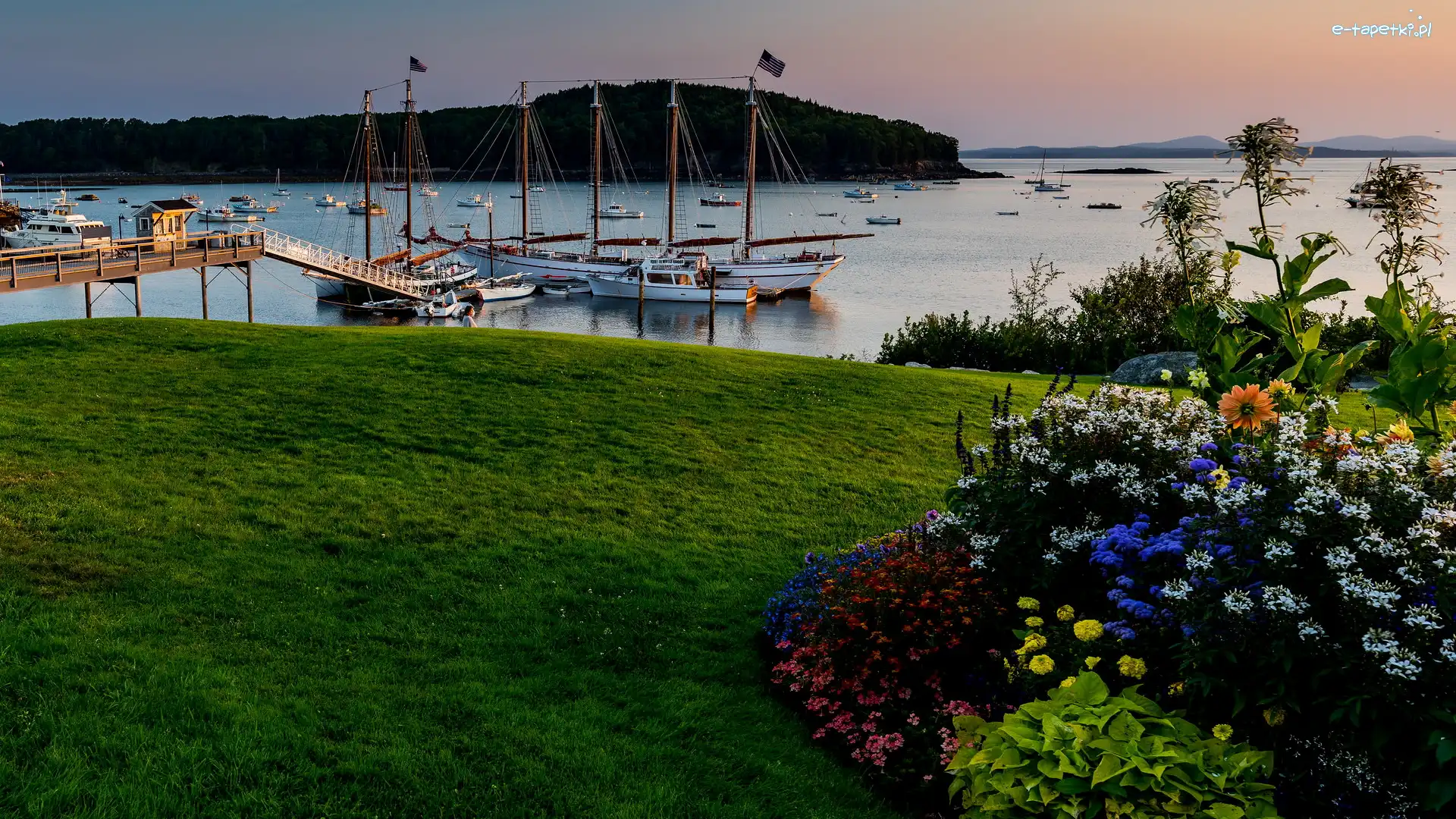 Rabatka, Żaglówki, Stany Zjednoczone, Stan Maine, Jezioro, Kwiaty, Bar Harbor, Przystań