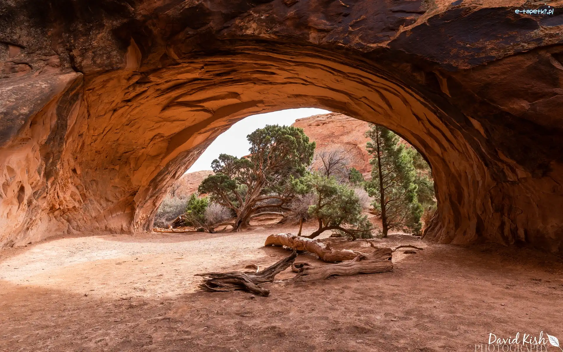 Stan Utah, Drzewa, Park Narodowy Arches, Stany Zjednoczone, Skały, Navajo Arch