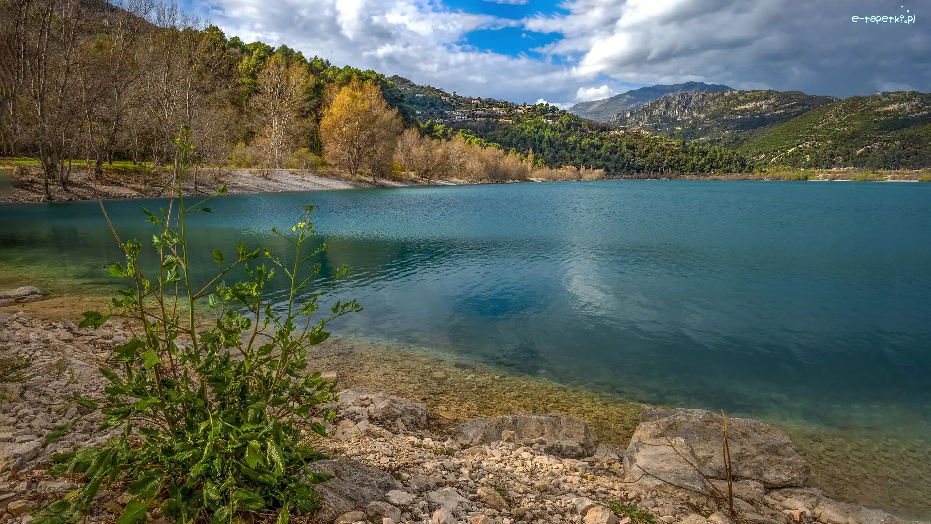Góry, Drzewa, Jezioro, Kamienie, Roślina