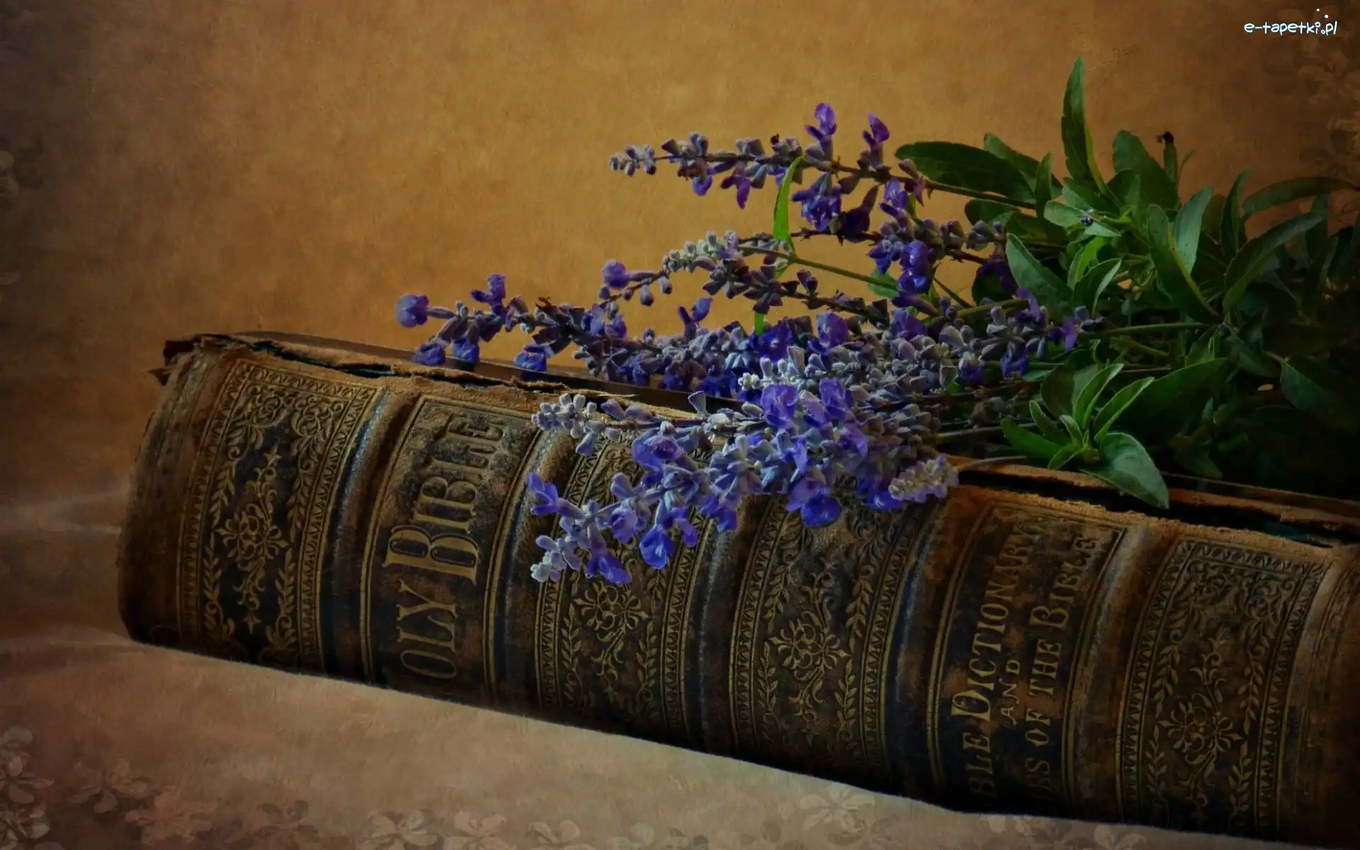 Książka, Niebieskie, Biblia, Szałwia, Kwiatki