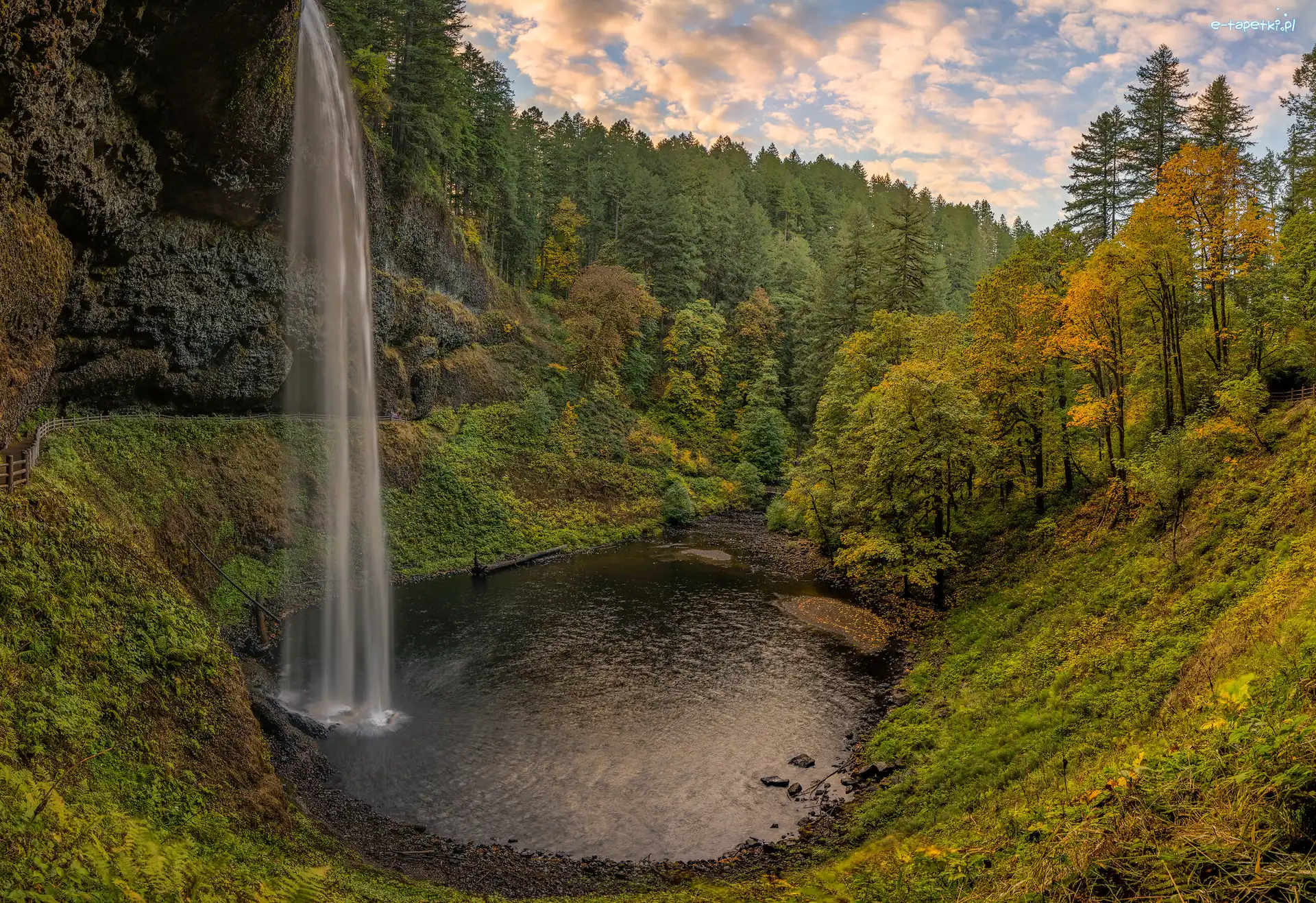 Roślinność, Skały, Las, South Falls, Wodospad, Stany Zjednoczone, Stan Oregon, Drzewa, Park stanowy Silver Falls