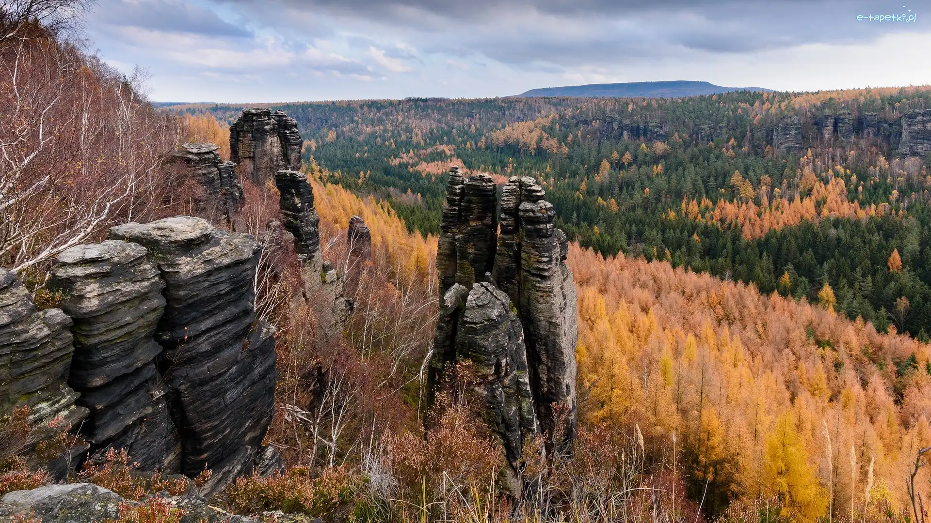 Jesień, Drzewa, Las, Formacje, Skały