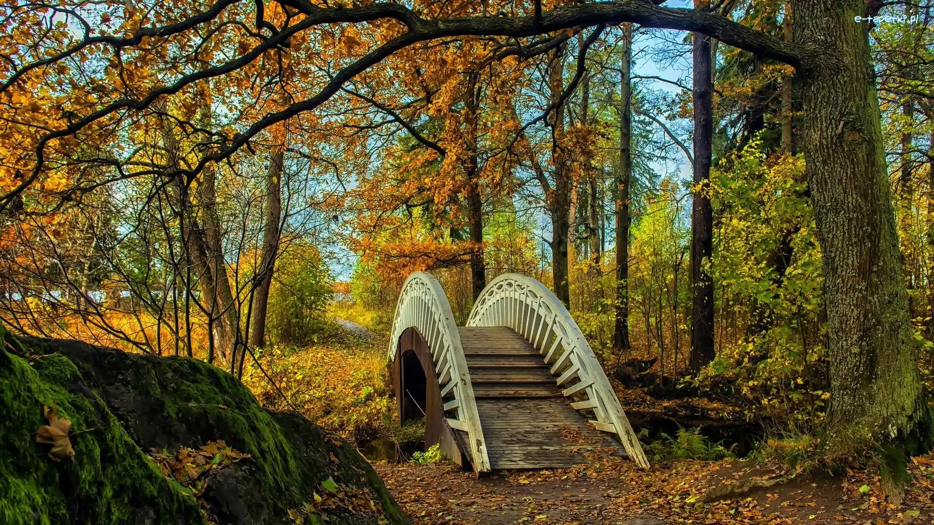 Park, Mostek, Drzewa, Jesień, Rzeczka